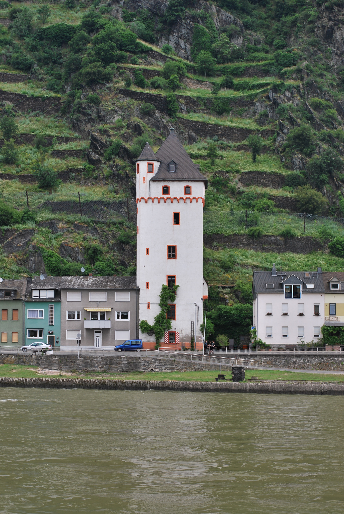 Nikon D60 + Nikon AF-S Nikkor 50mm F1.4G sample photo. Rhein river photography