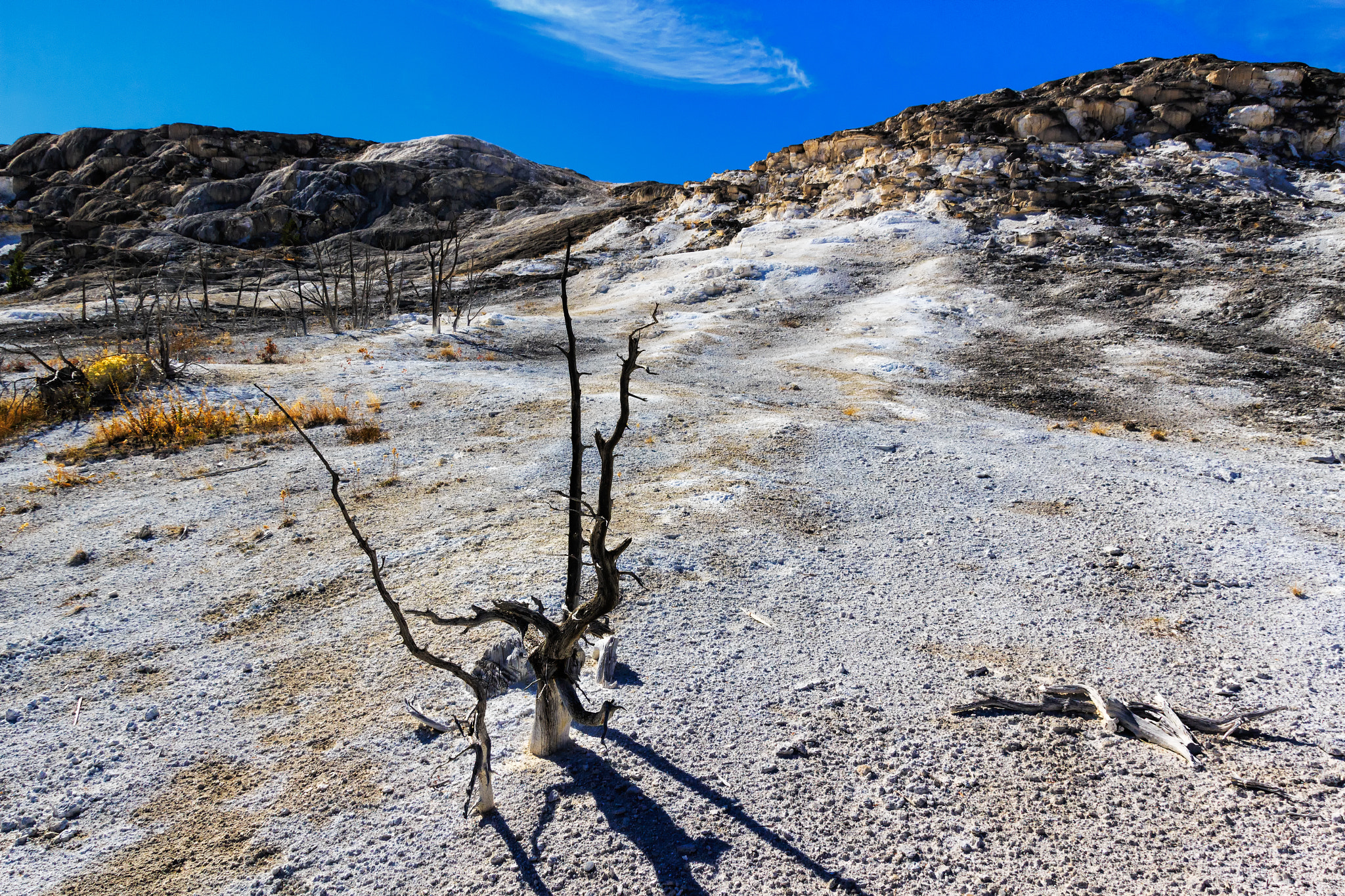 Sigma 18-250mm F3.5-6.3 DC OS HSM sample photo. Mammoth hot springs, wyoming, usa photography
