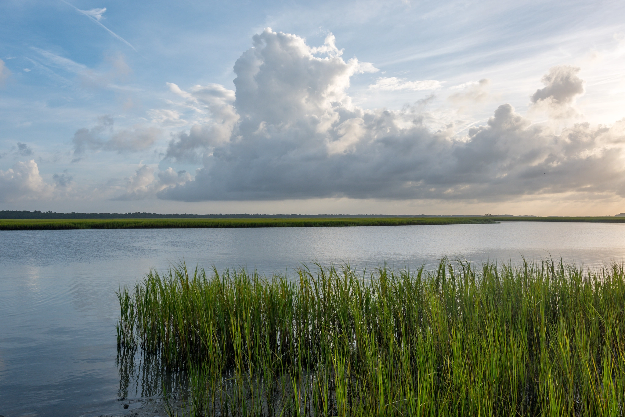 Tokina AT-X 11-20mm F2.8 PRO DX sample photo. Kiawah river marshes photography