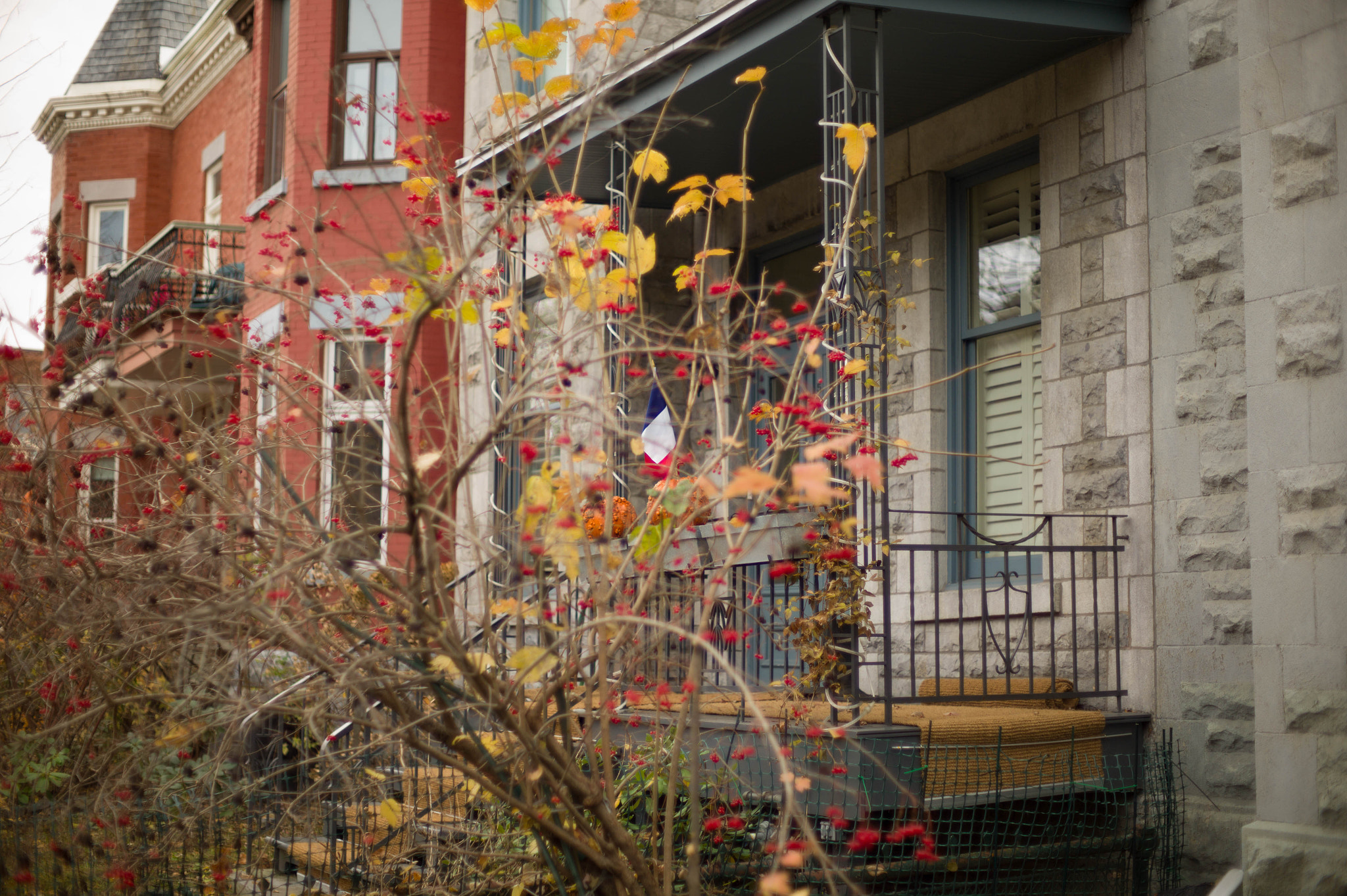 Leica M9 + Noctilux-M 50mm f/1 sample photo