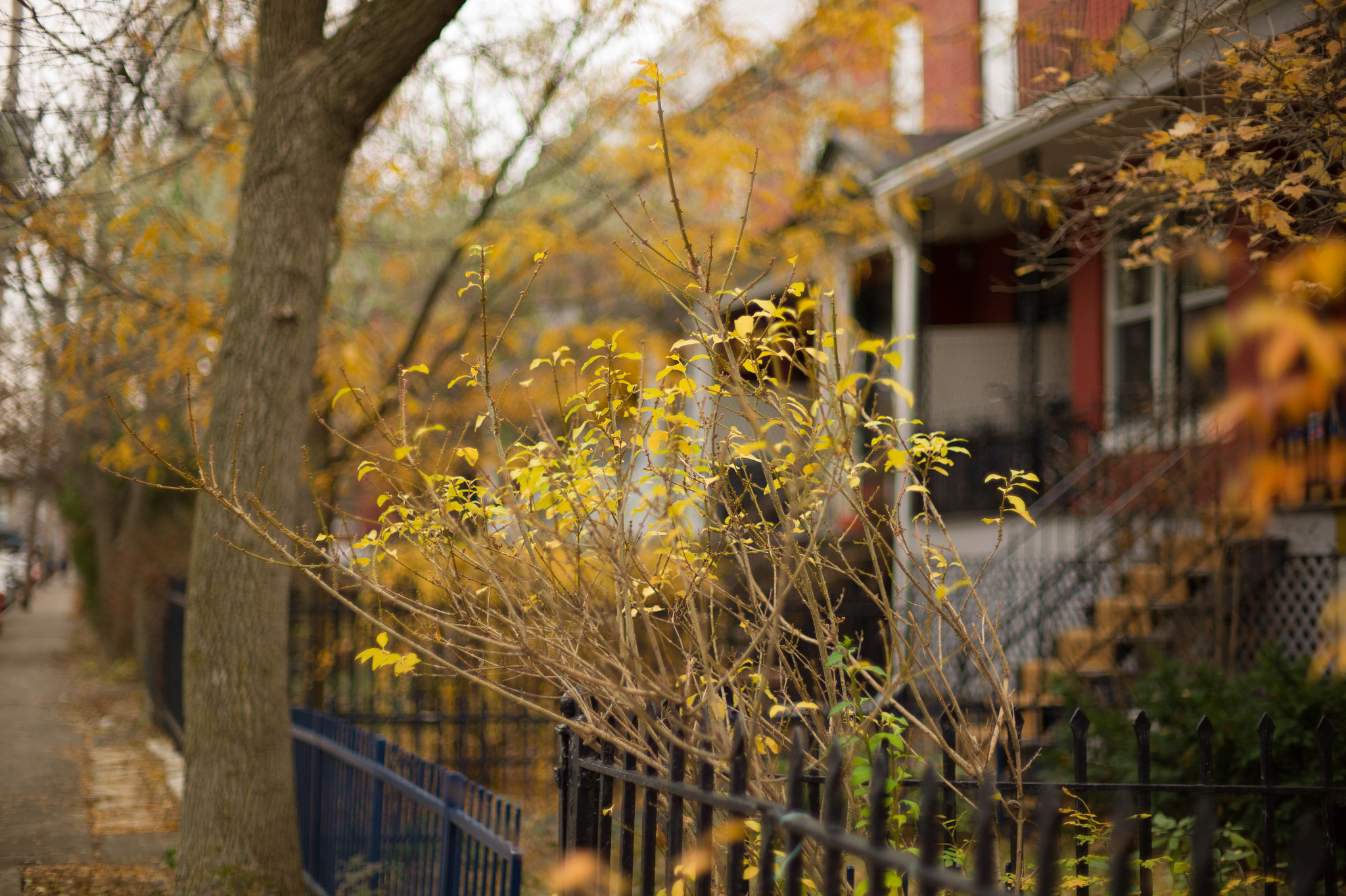 Leica M9 + Noctilux-M 50mm f/1 sample photo