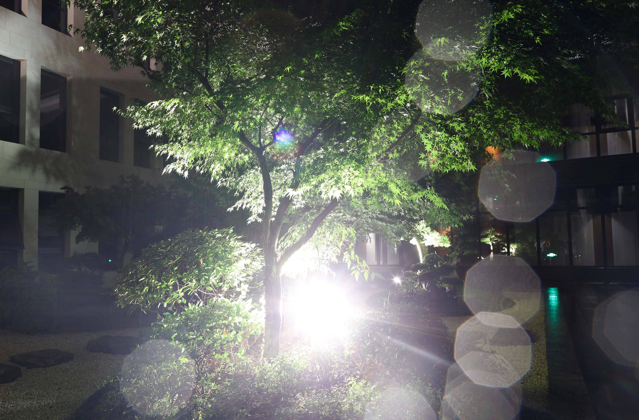 Canon EF 24mm F1.4L II USM sample photo. Light photography