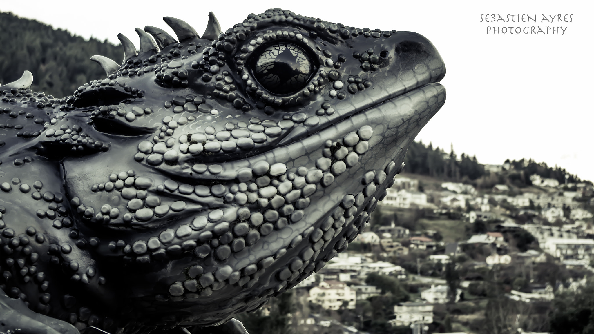 Pentax K-S2 sample photo. Tuatara-zilla photography
