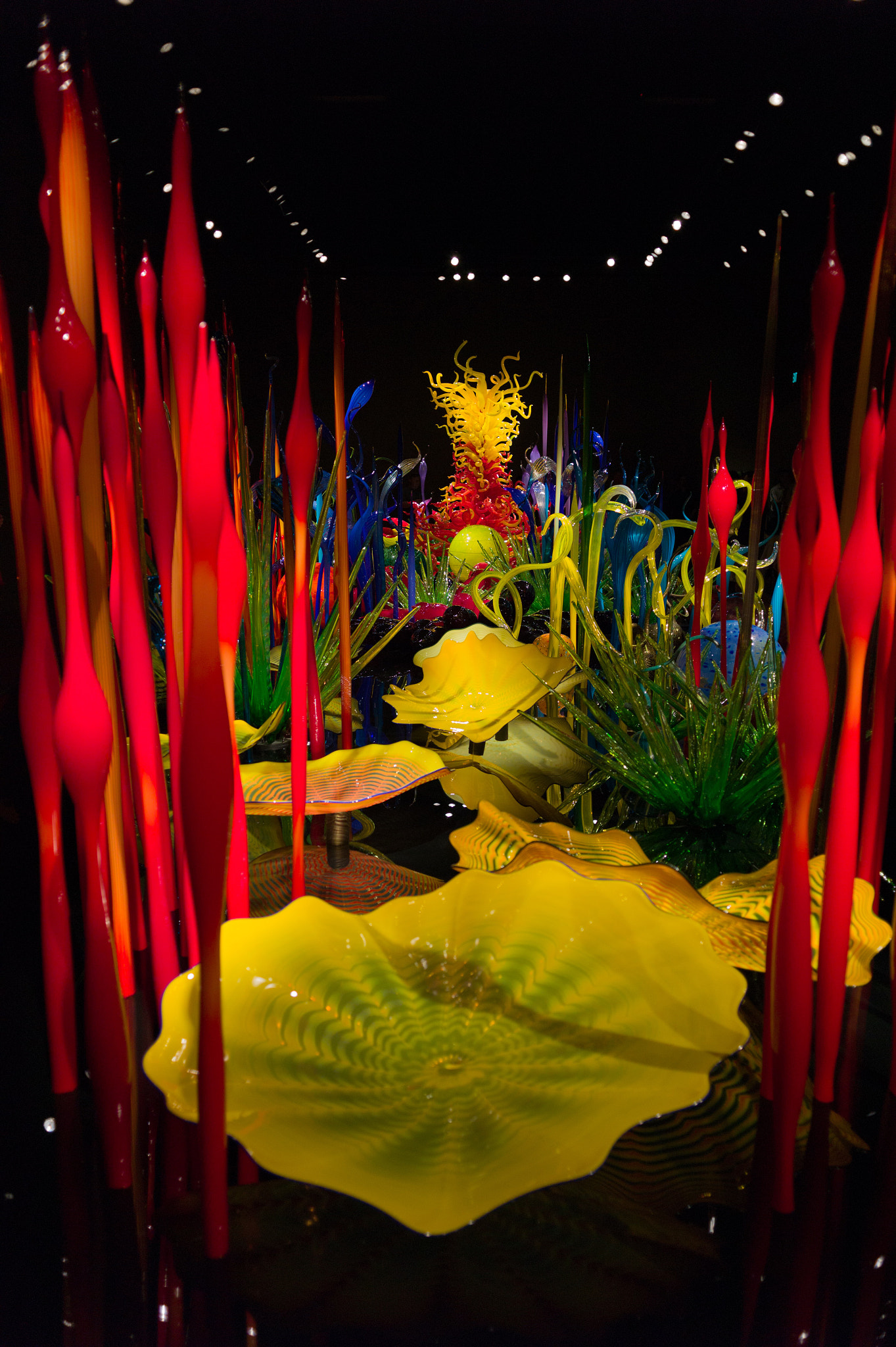 Elmarit-M 28mm f/2.8 (IV) sample photo. Chihuly glass garden seattle, wa photography