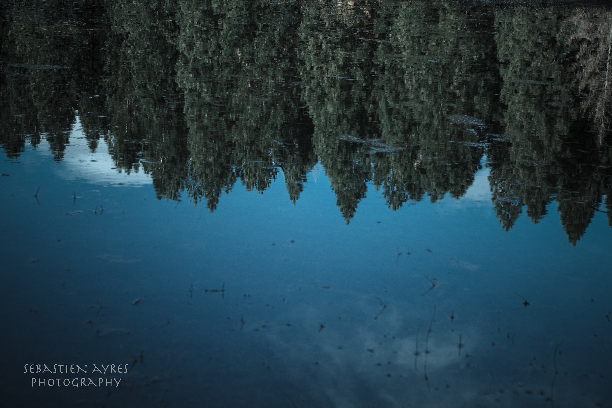 Pentax K-S2 sample photo. Upside down photography