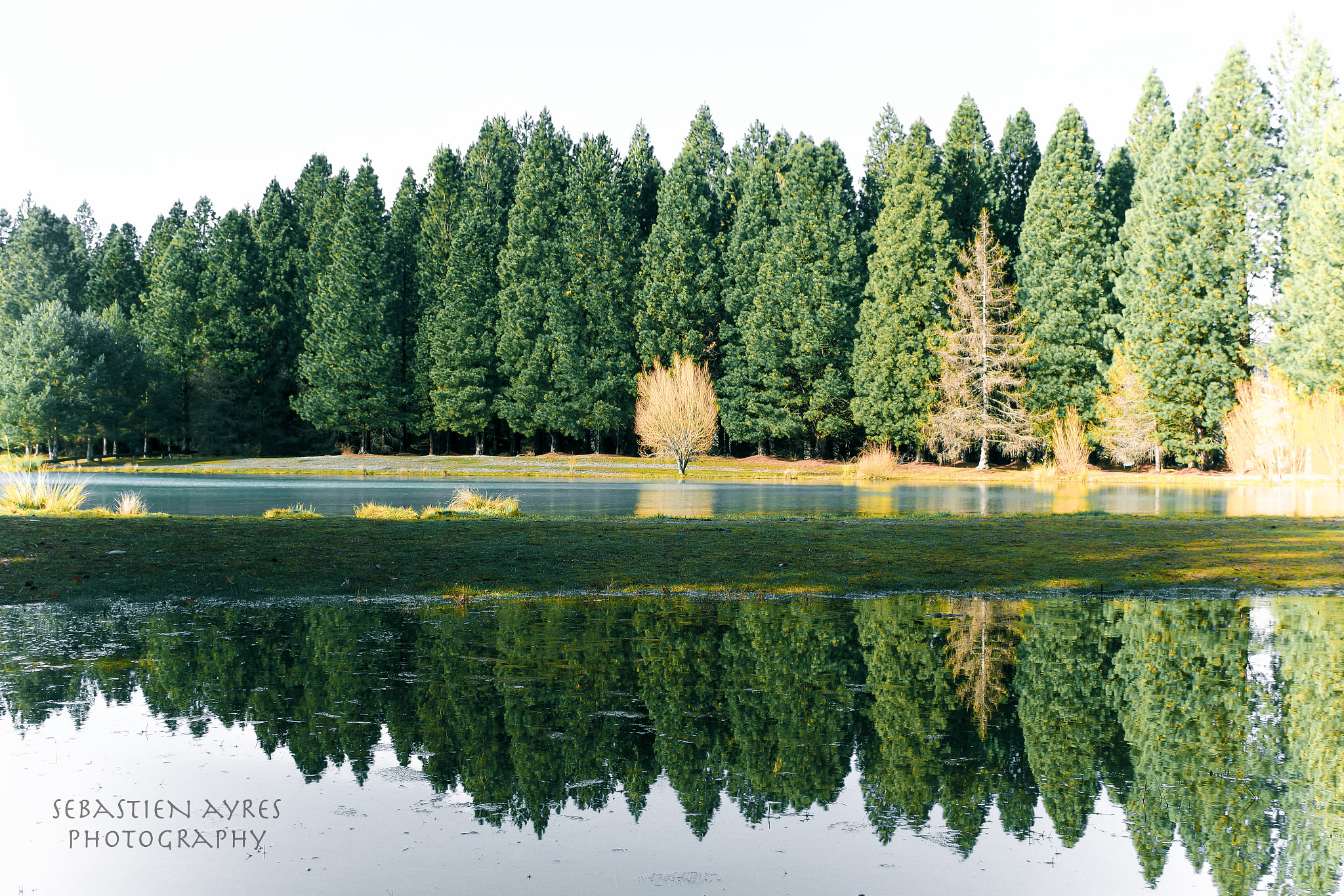Pentax K-S2 sample photo. Reflection 2 photography