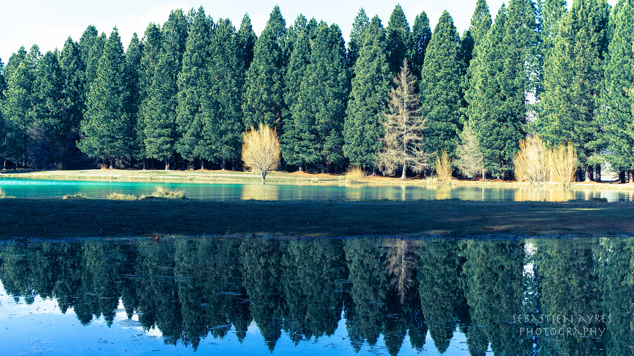 Pentax K-S2 sample photo. Reflection 3 photography