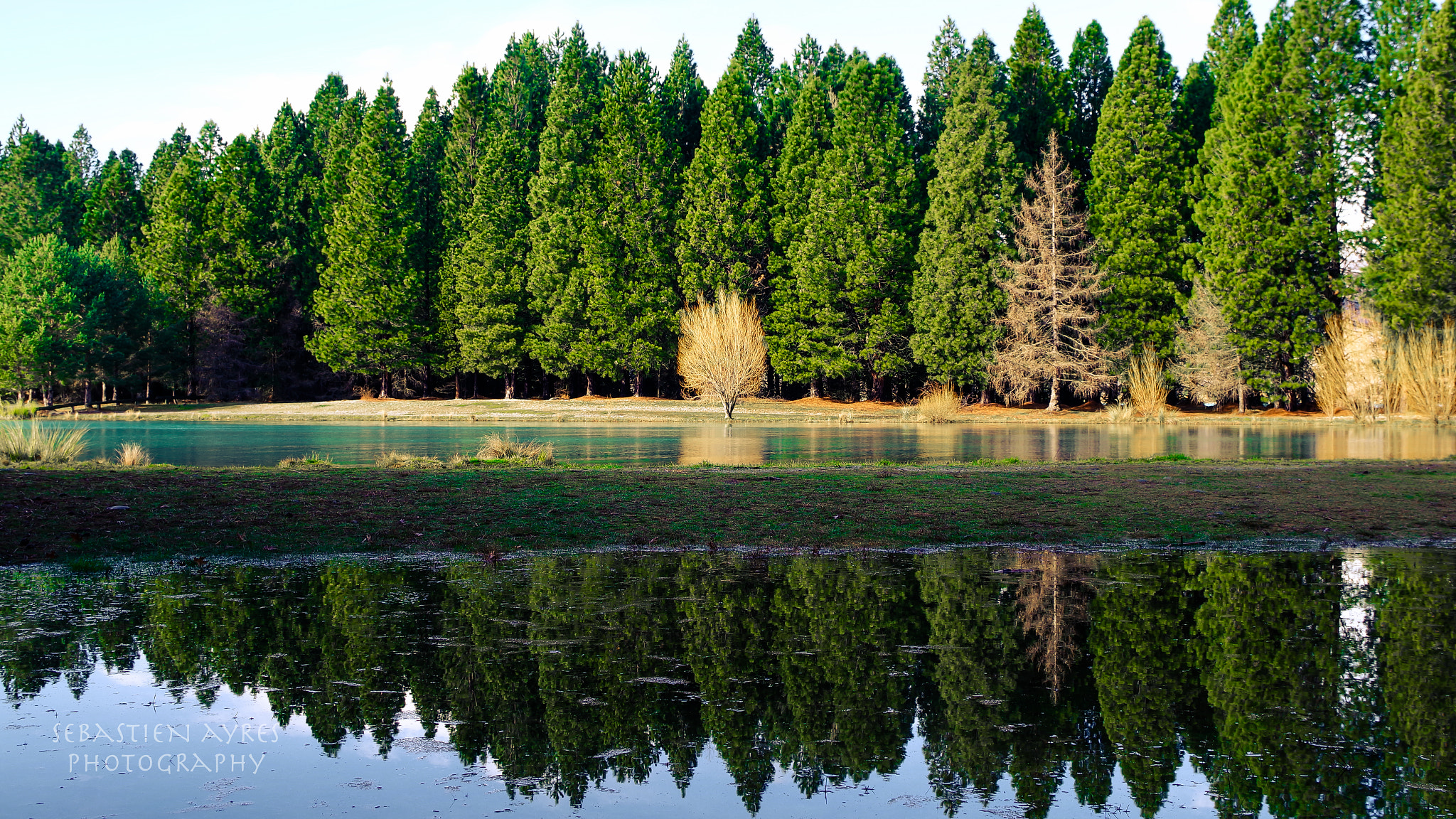 Pentax K-S2 sample photo. Reflection 1 photography
