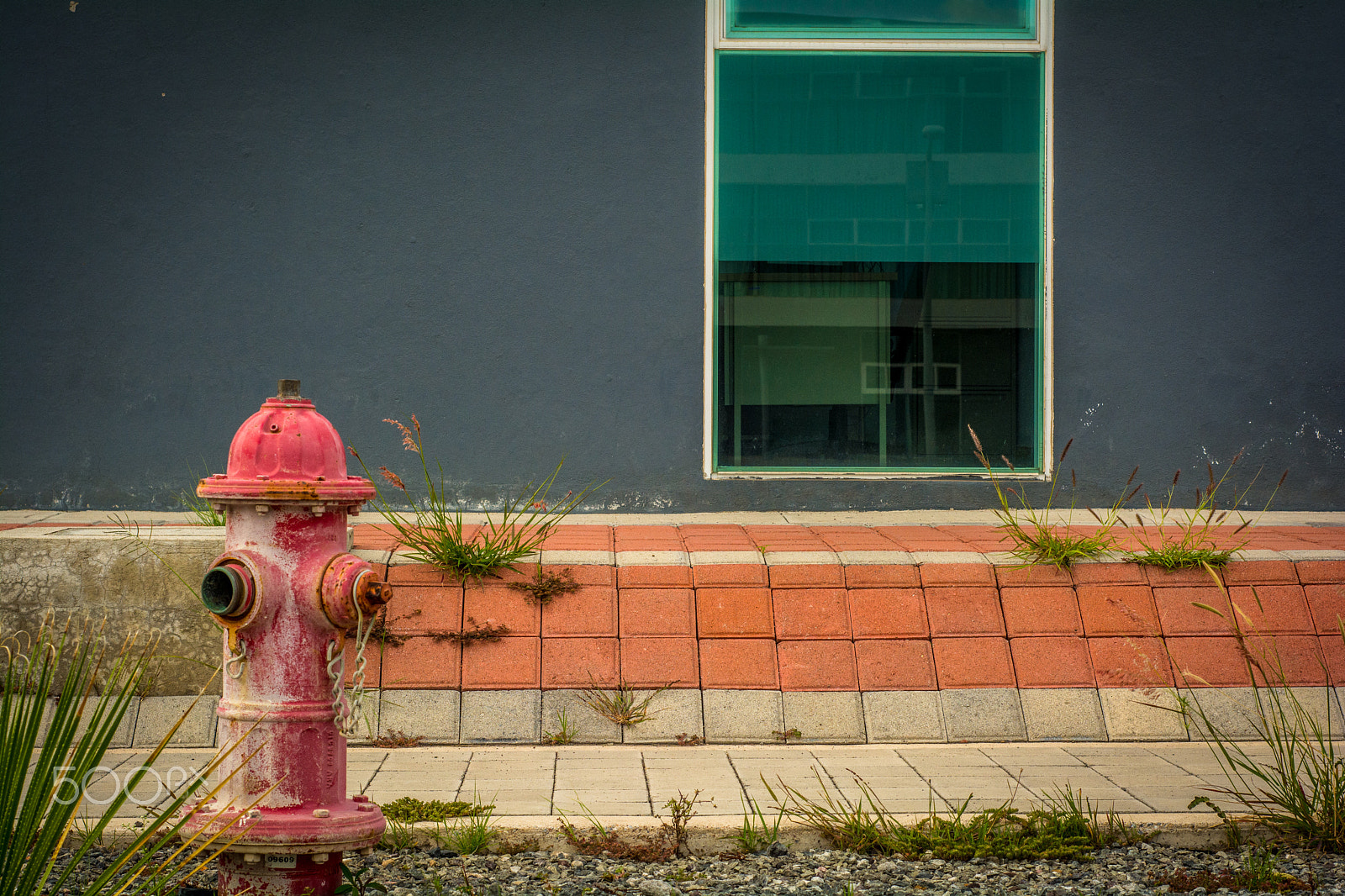 Nikon D7100 + AF Nikkor 50mm f/1.8 sample photo. Say what? photography