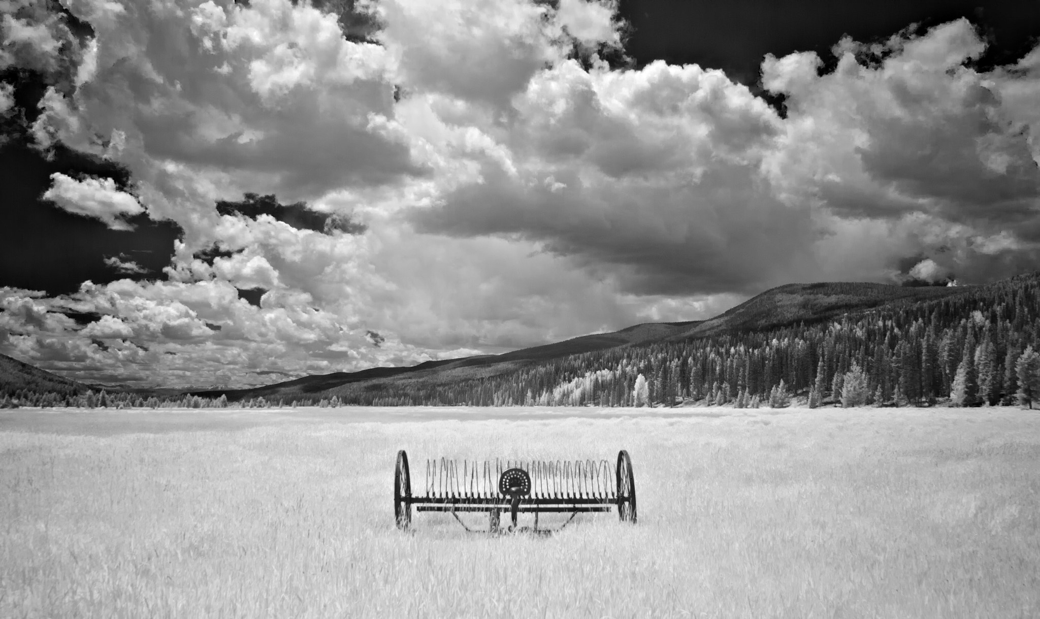 Sigma 17-70mm F2.8-4 DC Macro OS HSM sample photo. The ole rake - infrared photography