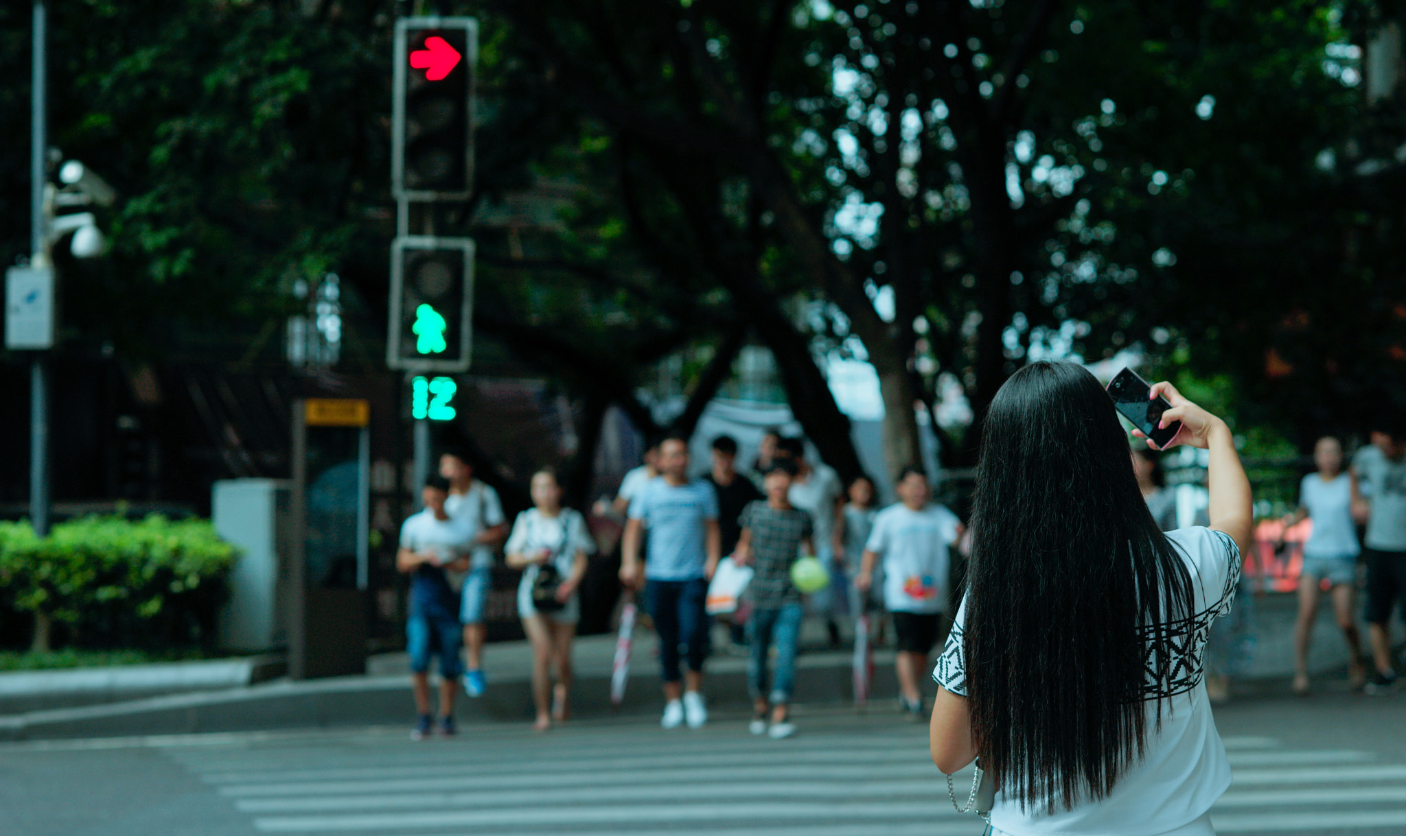 Sony Planar T* 85mm F1.4 ZA sample photo. Take a picture photography