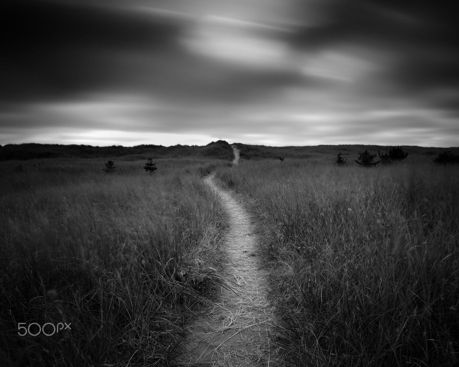 Nikon D800 + Nikon AF Nikkor 24mm F2.8D sample photo. The narrow path photography