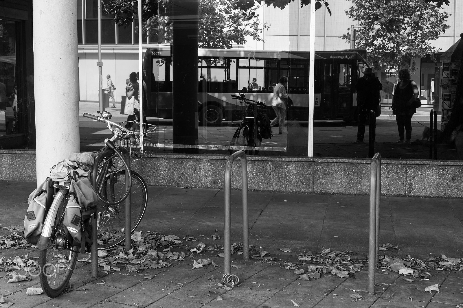 Leica M9 + Summicron-M 50mm f/2 (III) sample photo. Quicker by bus photography