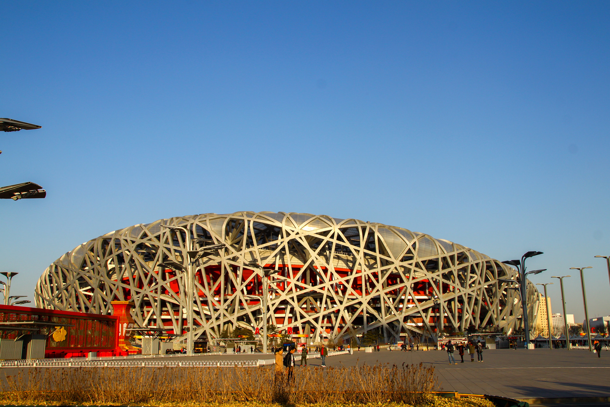 Canon EOS 500D (EOS Rebel T1i / EOS Kiss X3) sample photo. The bird's nest photography
