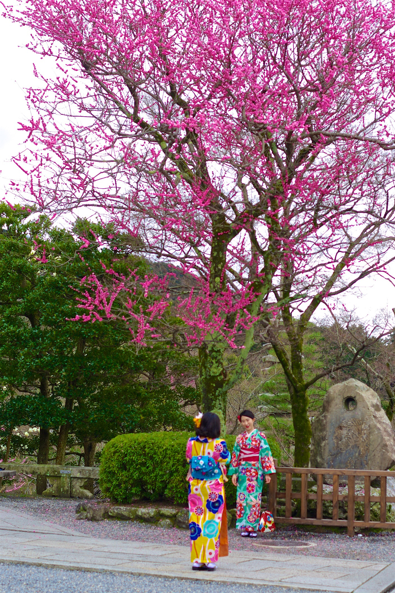 Pentax K-5 II + Pentax smc DA 50mm F1.8 sample photo. Posing at kiyomizu-dera temple photography