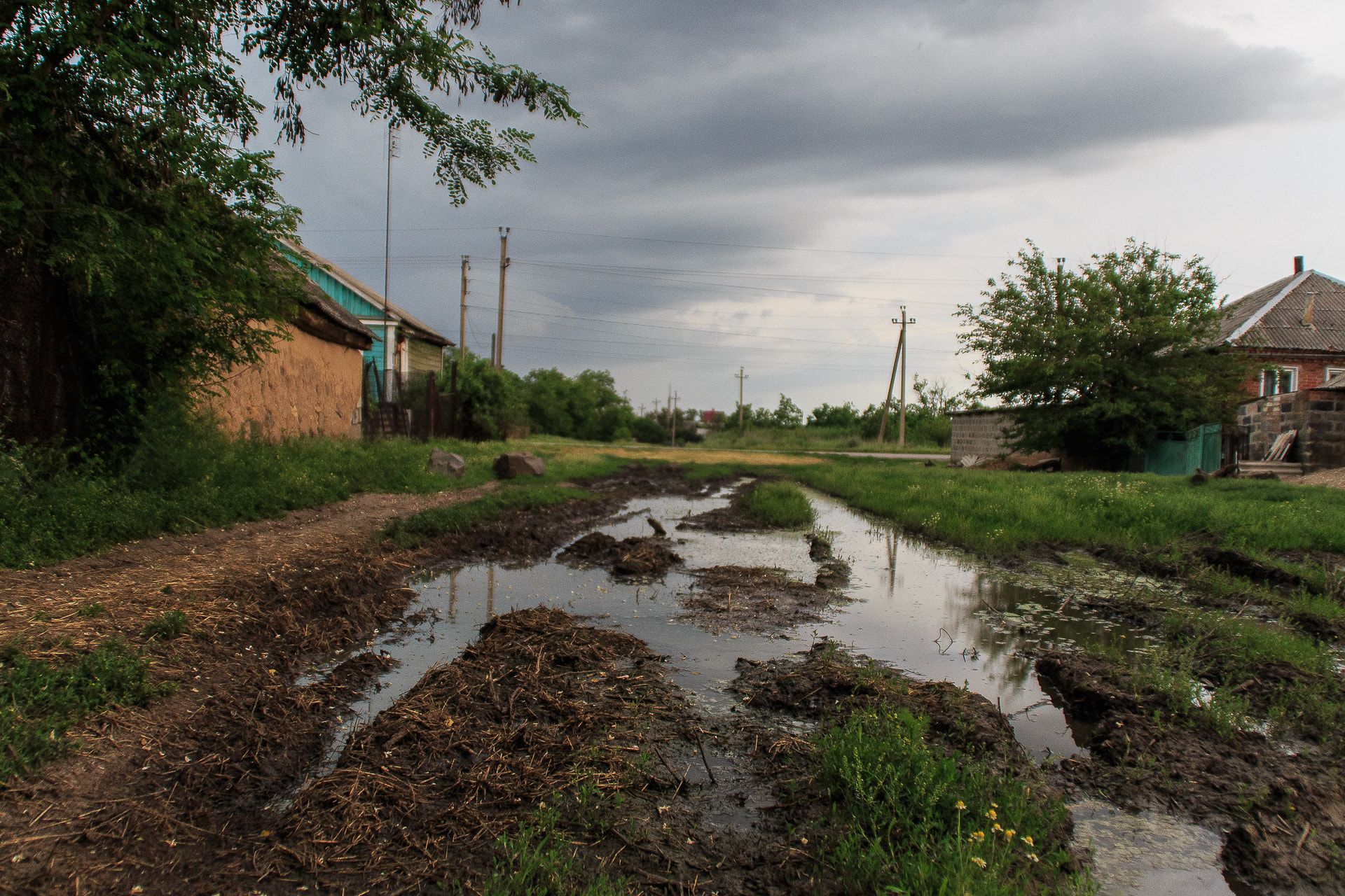 Canon EOS 650D (EOS Rebel T4i / EOS Kiss X6i) sample photo. After a rain photography