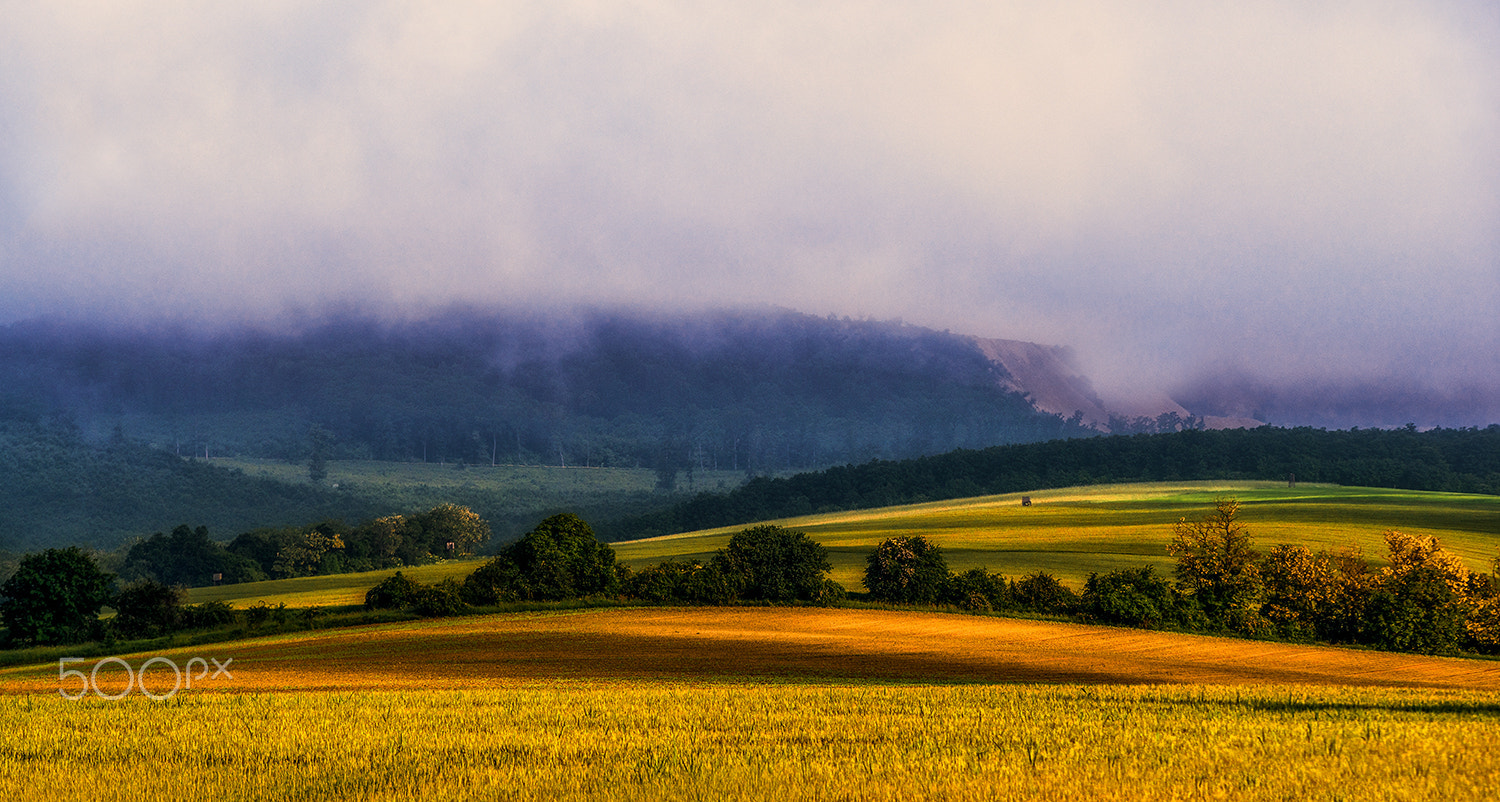 Sony Alpha DSLR-A900 + Tamron SP AF 70-200mm F2.8 Di LD (IF) MACRO sample photo. Lights on the hills photography