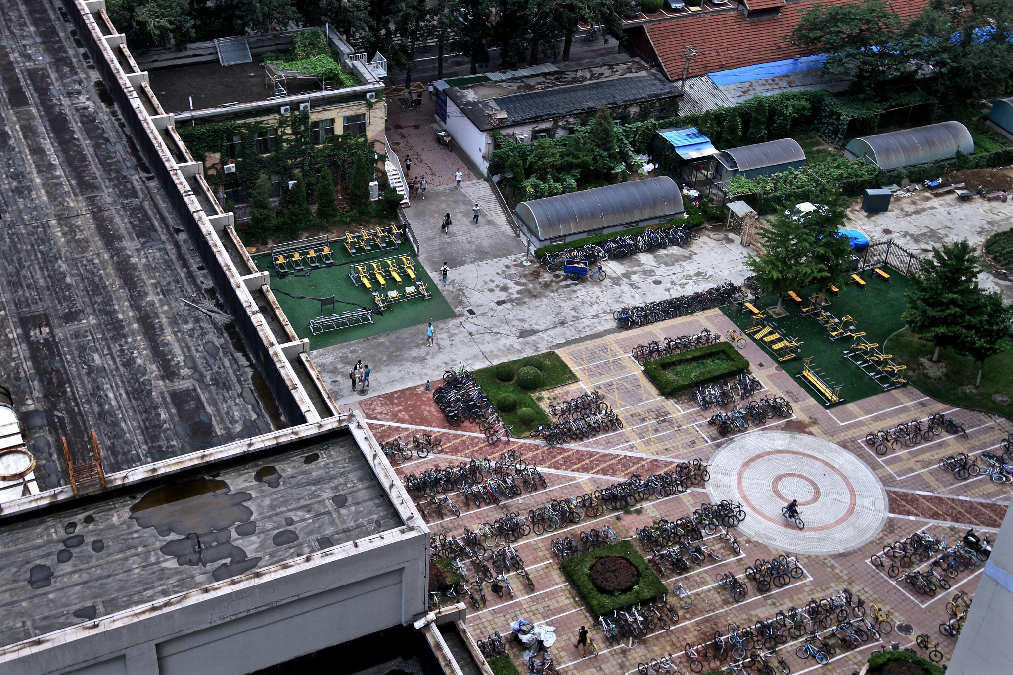 Canon EOS 7D + Canon EF 300mm f/2.8L sample photo. School after rain photography