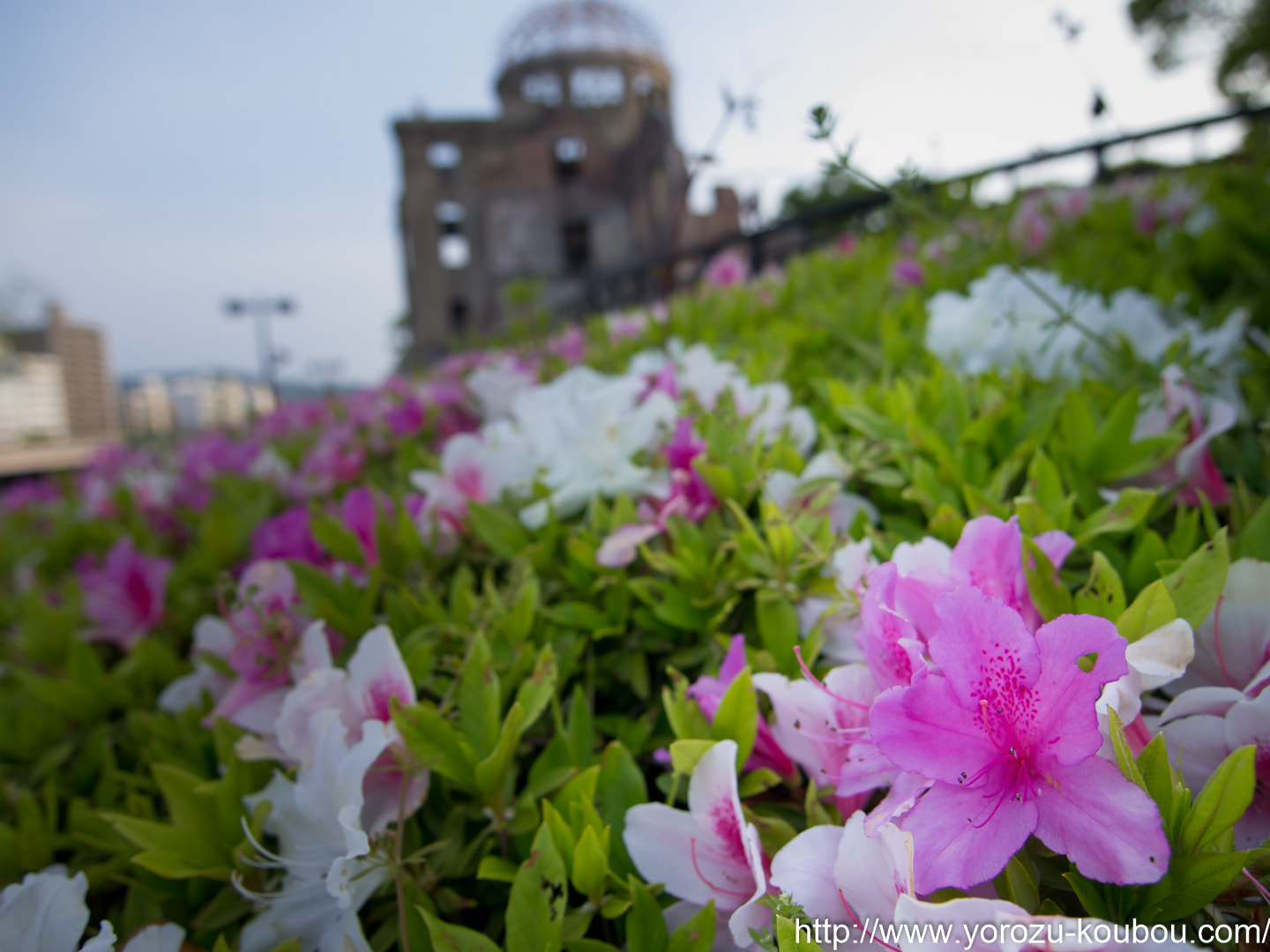 Panasonic Lumix DMC-GH2 + OLYMPUS DIGITAL 11-22mm Lens sample photo. Hiroshima peace memorial (genbaku dome) photography