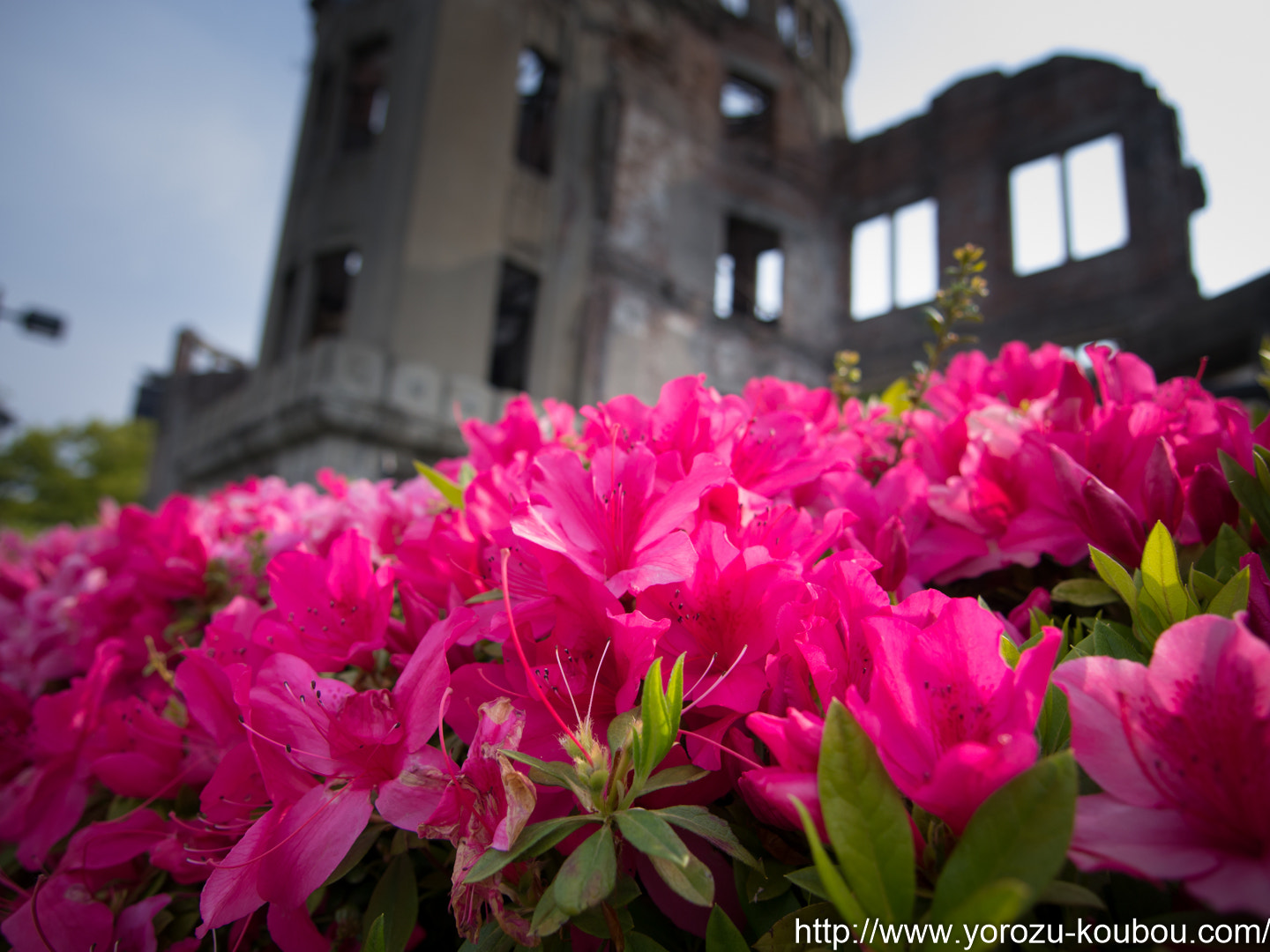 Panasonic Lumix DMC-GH2 + OLYMPUS DIGITAL 11-22mm Lens sample photo. Hiroshima peace memorial (genbaku dome) photography