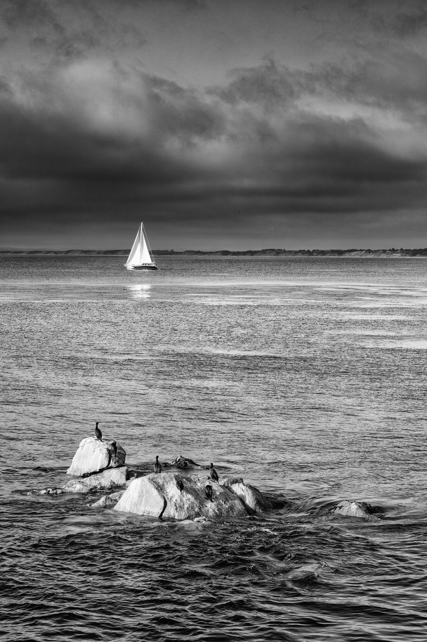 Canon EF 24-70mm F4L IS USM sample photo. Monterey harbour photography
