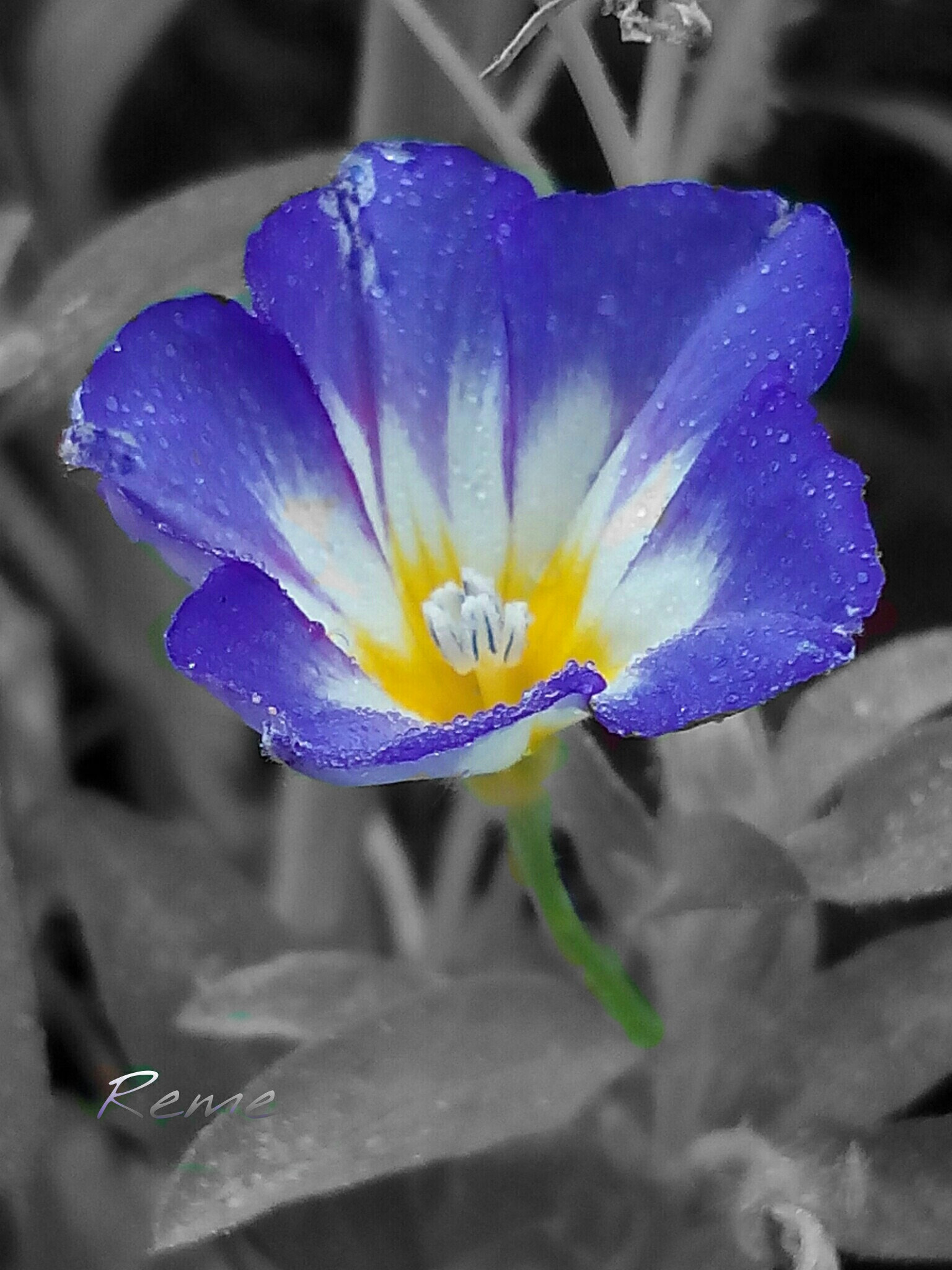 bq Aquaris E5 HD sample photo