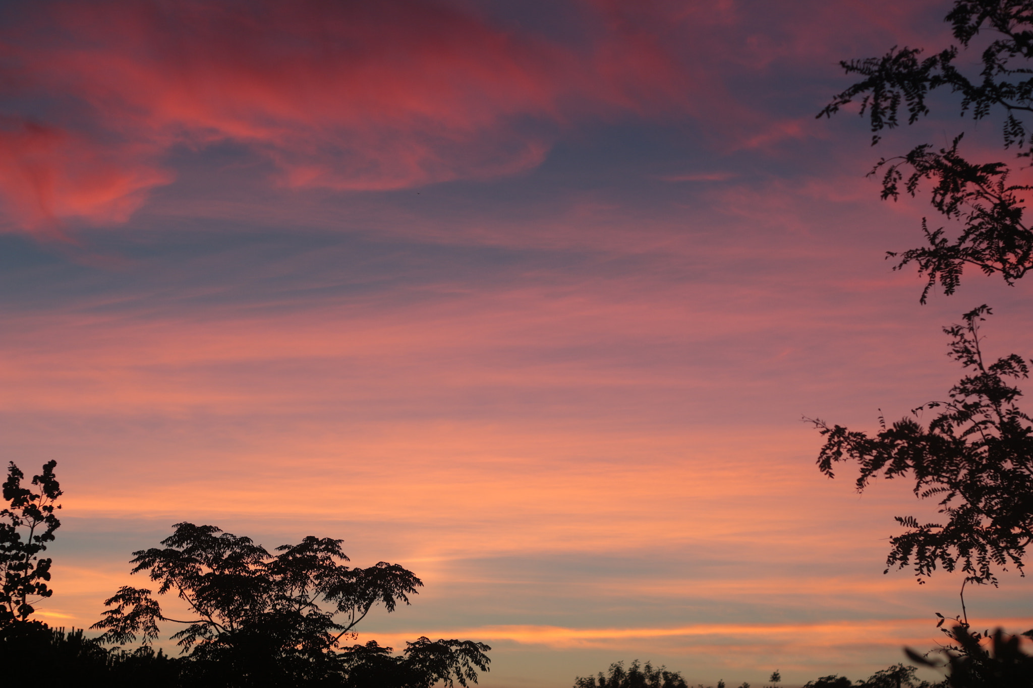 Canon EOS 700D (EOS Rebel T5i / EOS Kiss X7i) + Canon EF 50mm F1.8 II sample photo. Sky gift photography