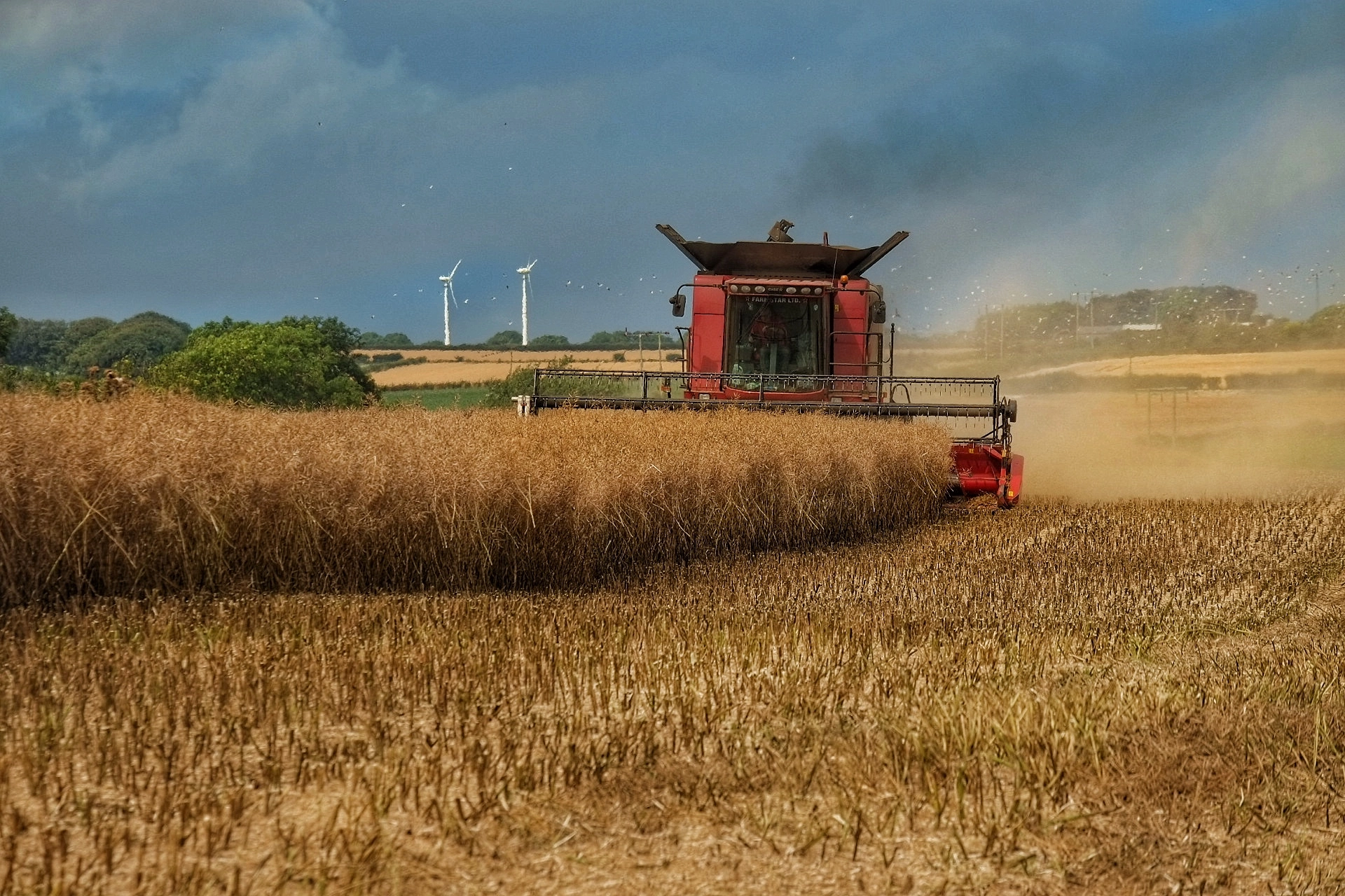 Fujifilm X-Pro1 + Fujifilm XF 55-200mm F3.5-4.8 R LM OIS sample photo. Farming ! photography