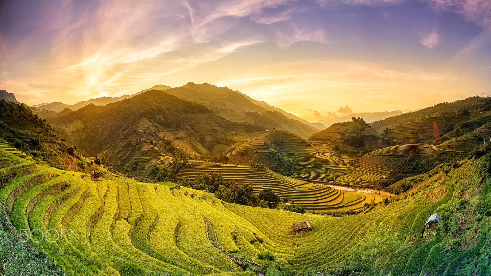 Nikon AF-S Nikkor 17-35mm F2.8D ED-IF sample photo. Rice fields on terraced in sunset at mu chang chai, yen bai, vie photography