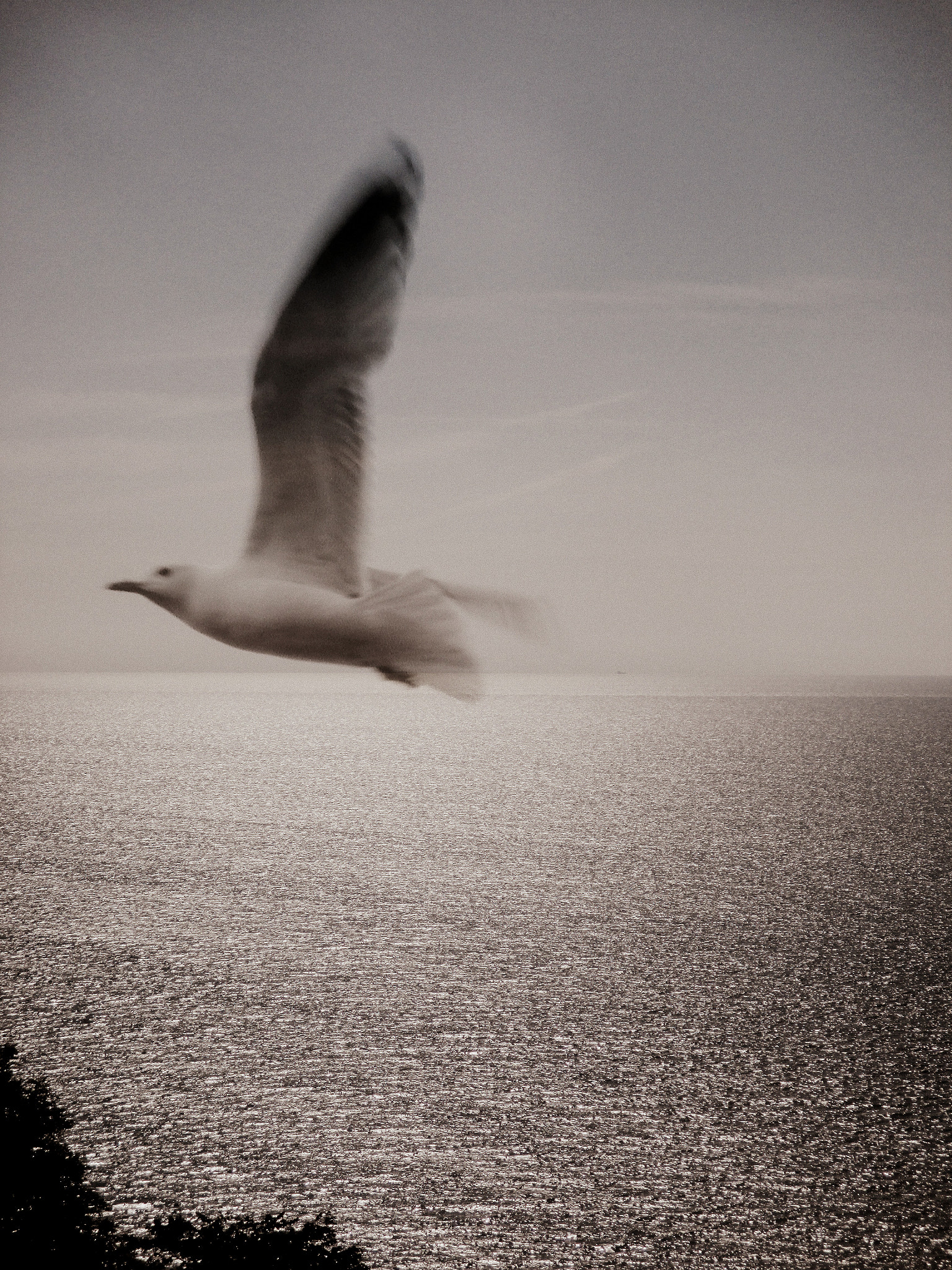 Canon PowerShot ELPH 130 IS (IXUS 140 / IXY 110F) sample photo. Freedom photography