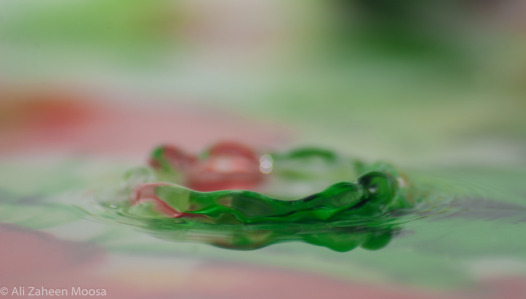 Nikon D60 sample photo. Water wave photography