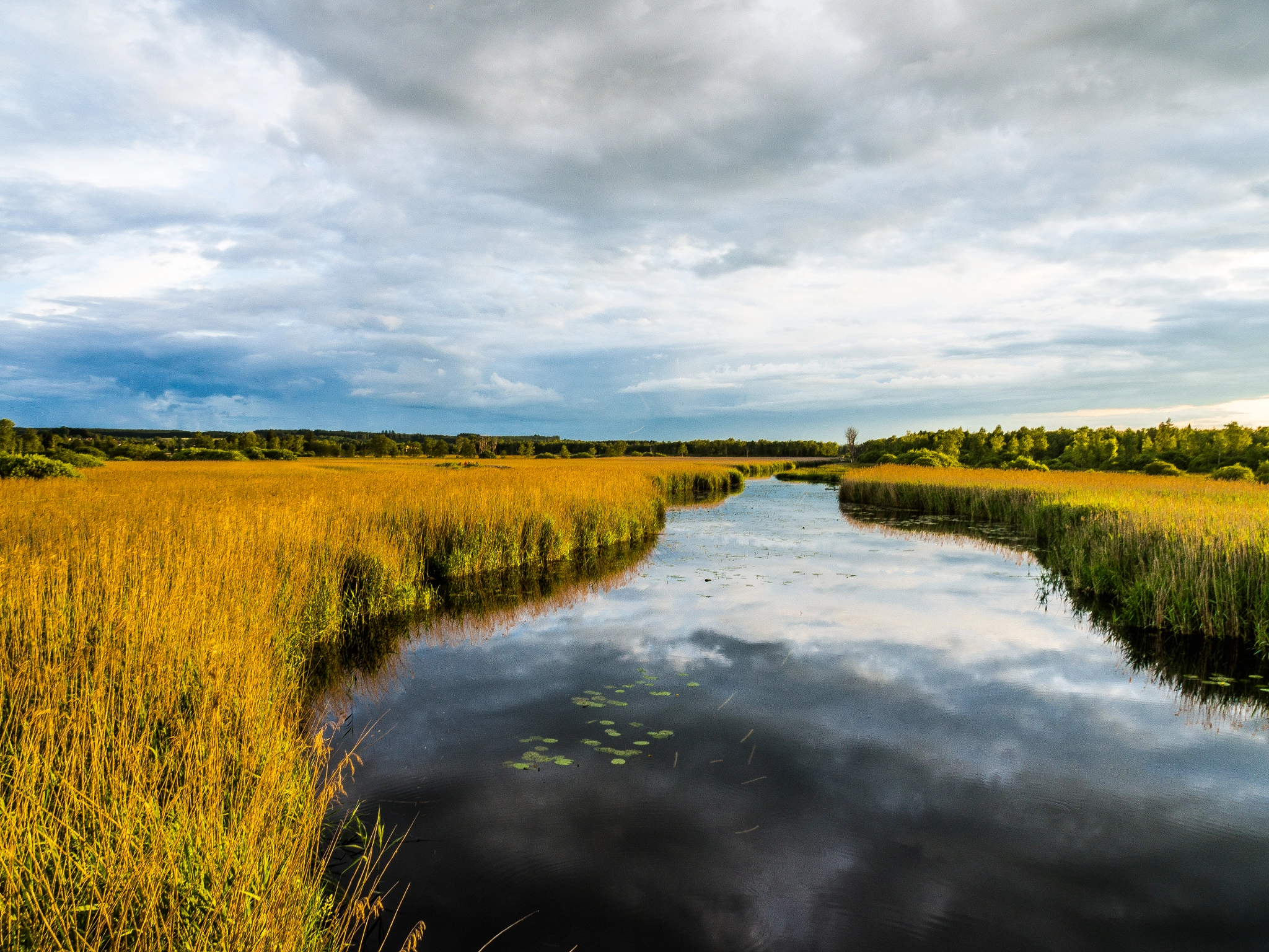 OLYMPUS M.14-150mm F4.0-5.6 II sample photo. Marshland photography