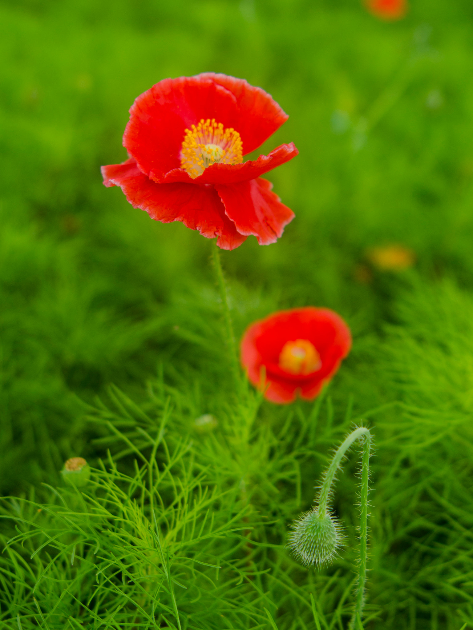 Nikon AF-S Nikkor 24-70mm F2.8E ED VR sample photo