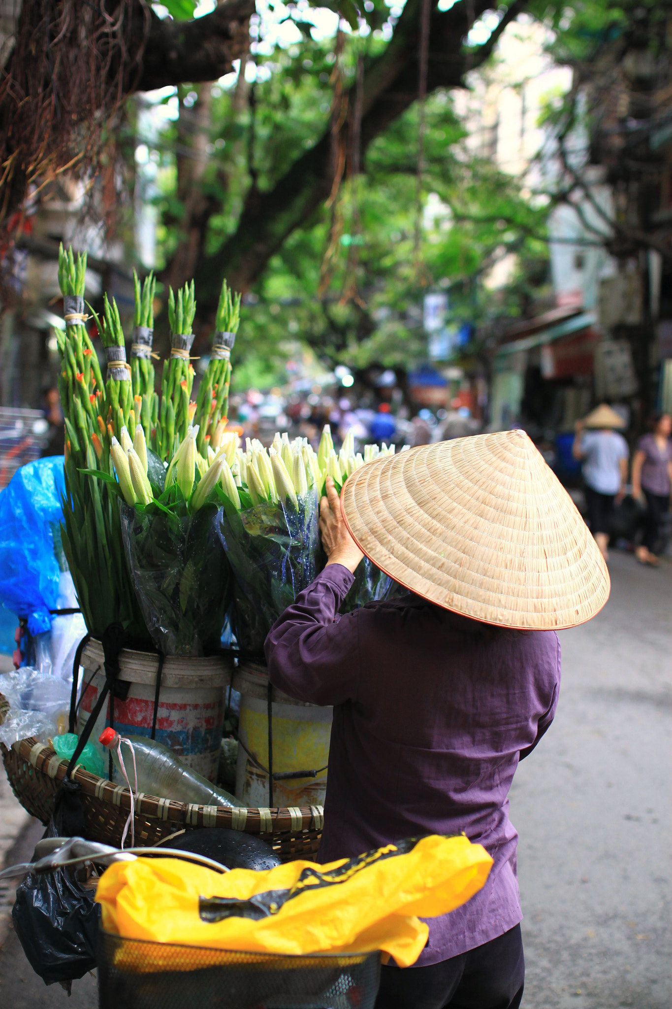 Canon EOS 500D (EOS Rebel T1i / EOS Kiss X3) + Sigma 35mm F1.4 DG HSM Art sample photo. Hanoi - vietnam photography