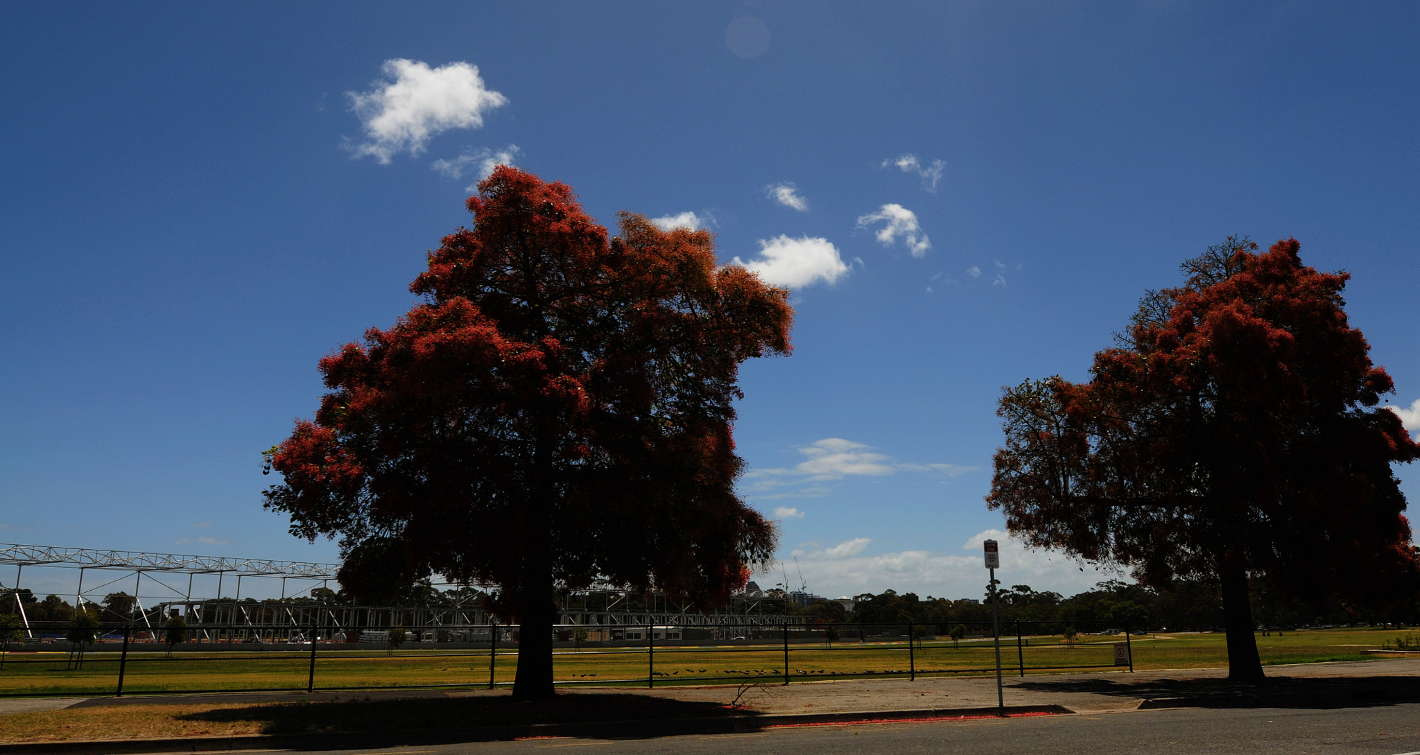 Nikon D300S sample photo. Adelaide scenery photography