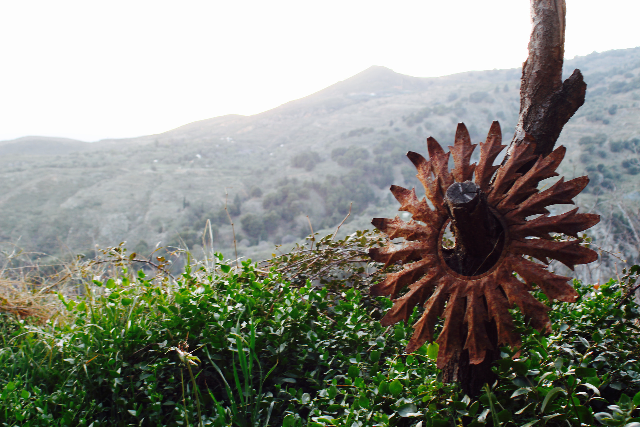 Canon EF 28-80mm f/3.5-5.6 sample photo. . photography