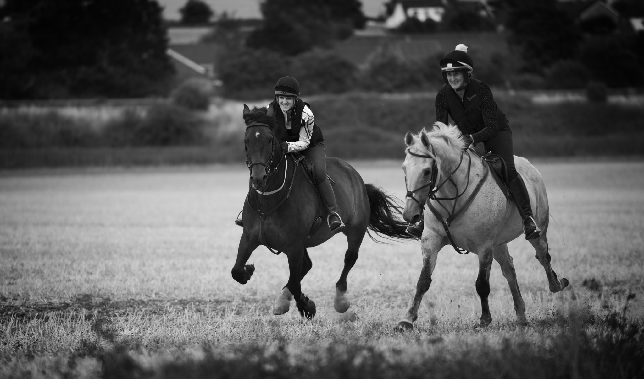 Nikon D800E sample photo. Gallop photography