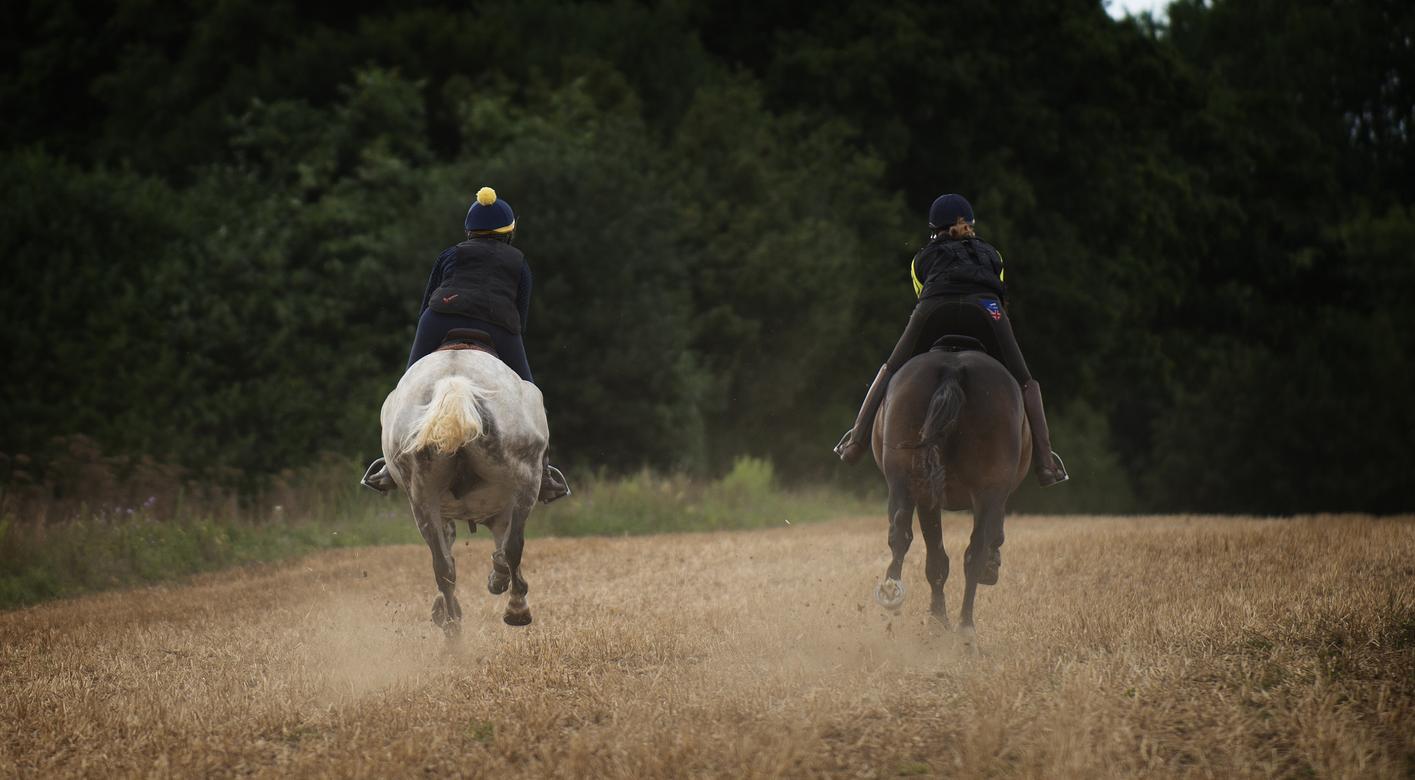 Nikon D800E sample photo. Away in the dust photography