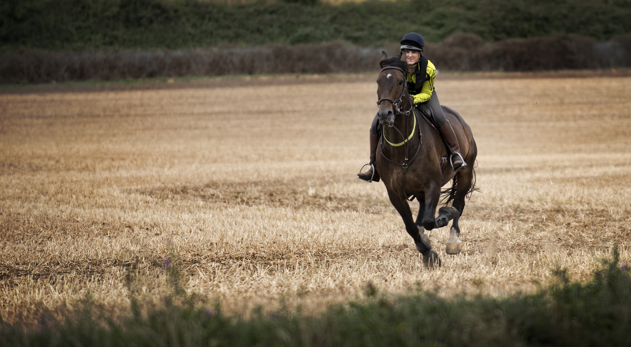 Nikon D800E sample photo. Georgie photography