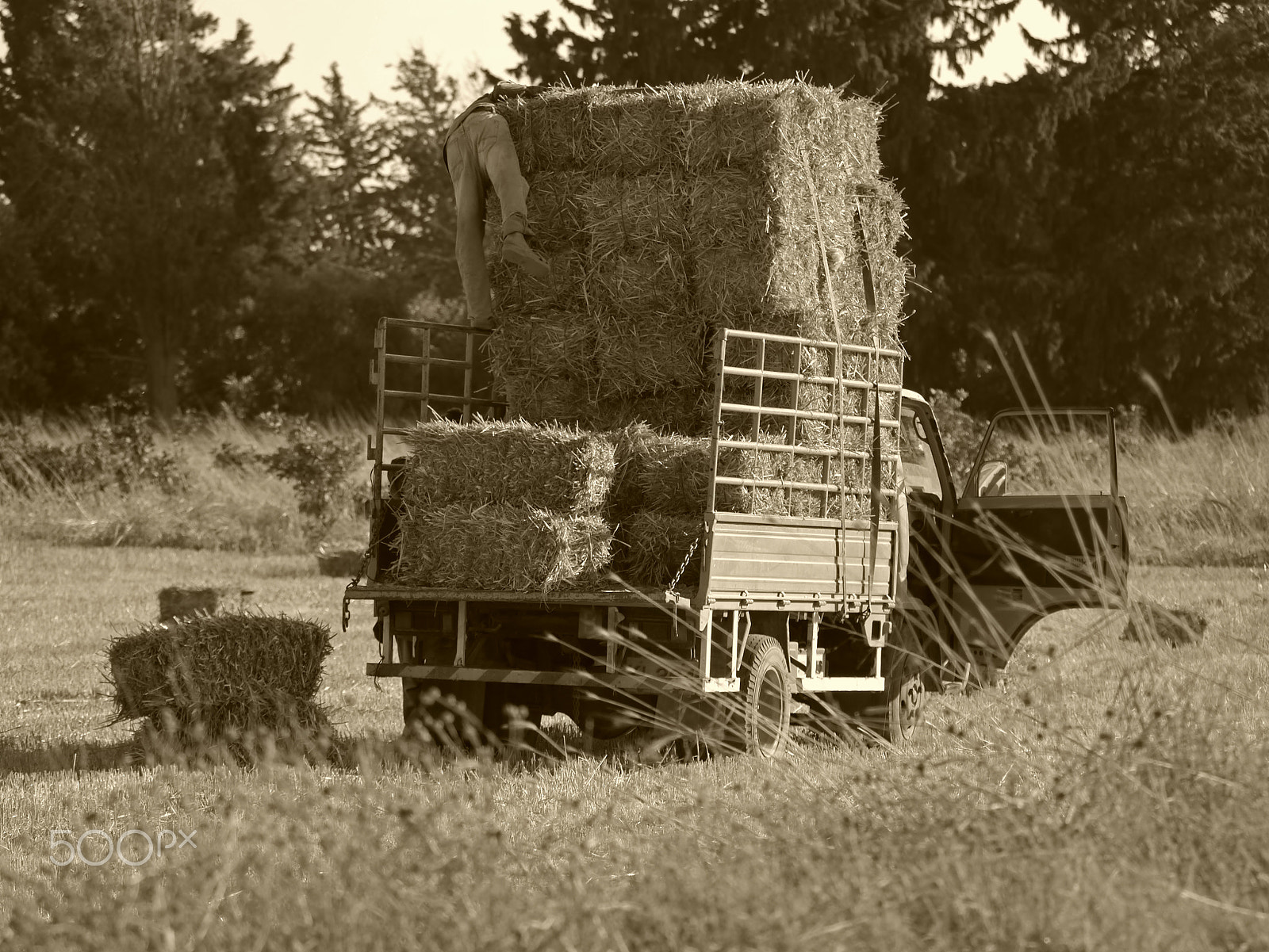 Panasonic Lumix DMC-G3 sample photo. Haystack photography