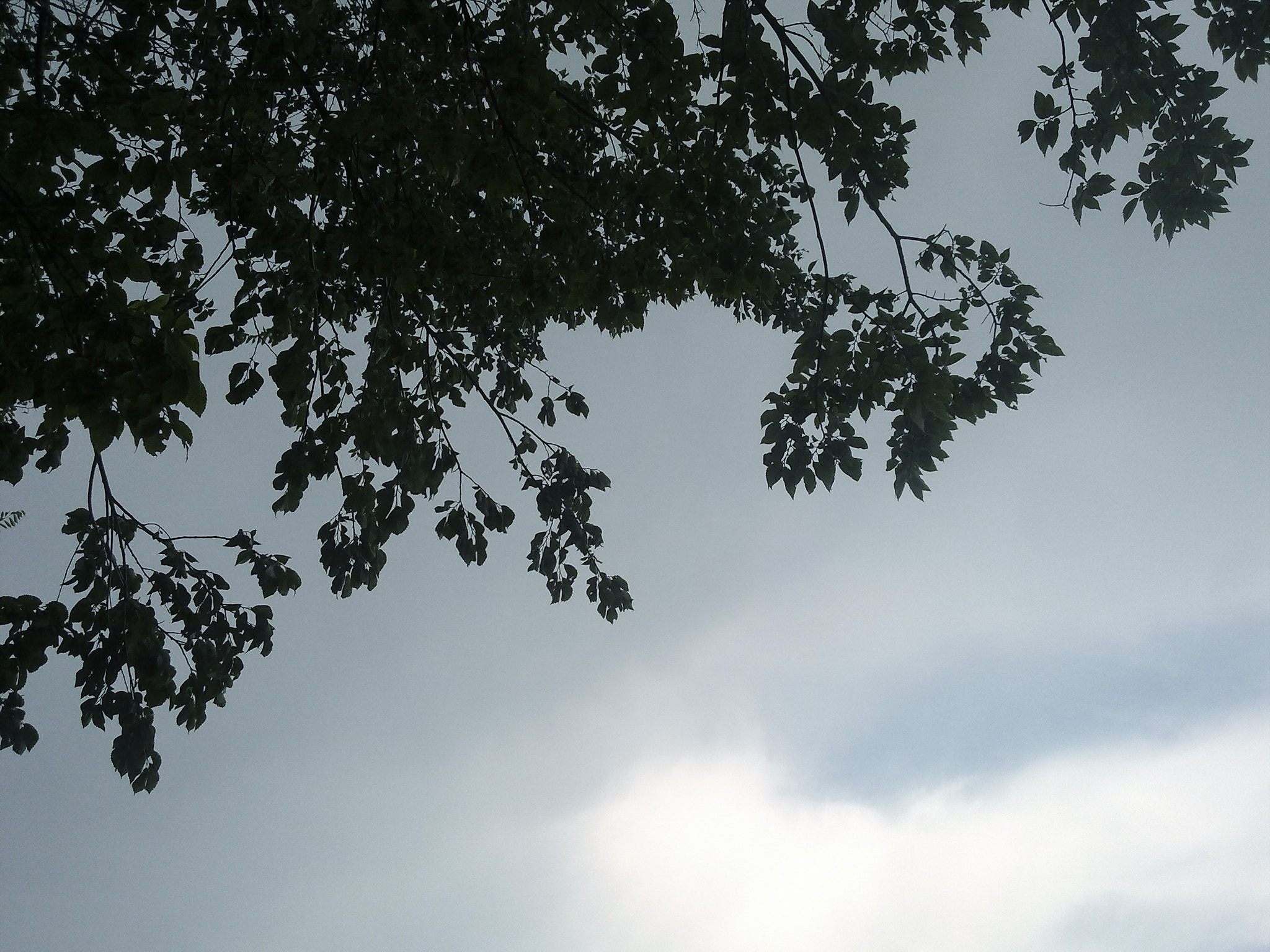 Nokia N97 sample photo. With the rain photography