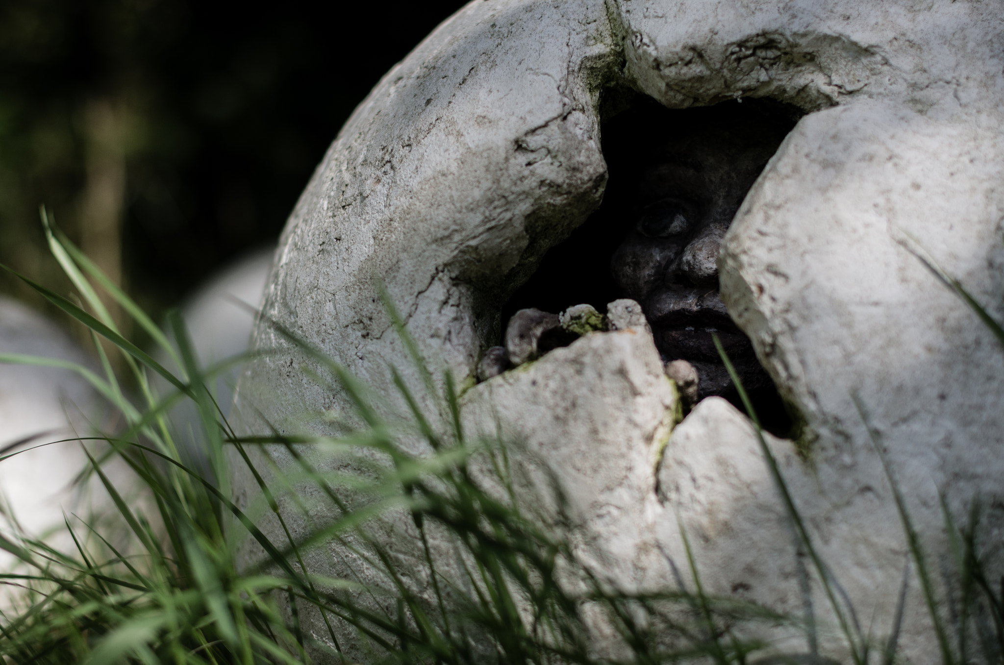 Pentax K-5 + Pentax smc FA 50mm F1.4 sample photo. Shell photography
