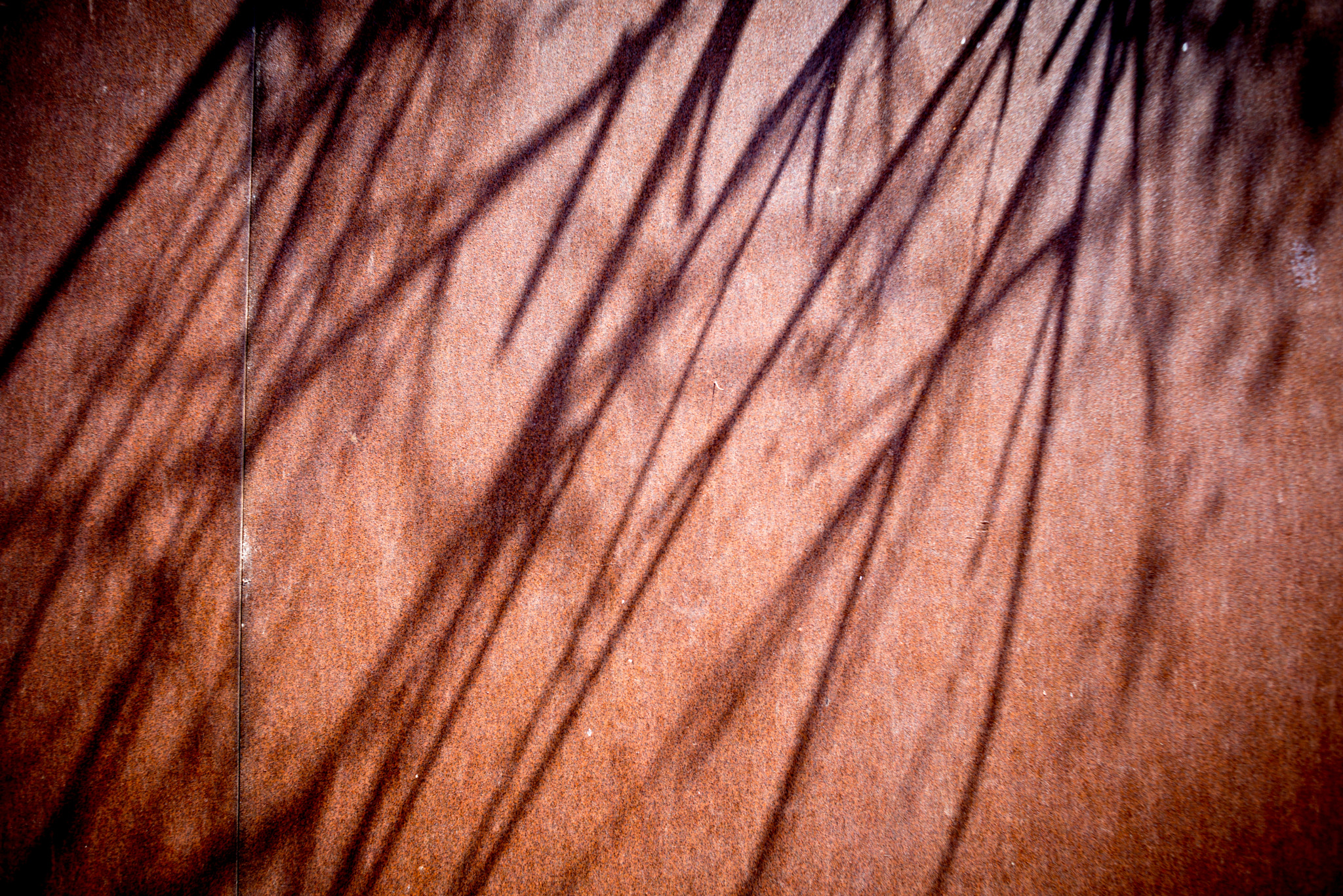 AF Nikkor 35mm f/2 sample photo. Shadows and light 1 photography