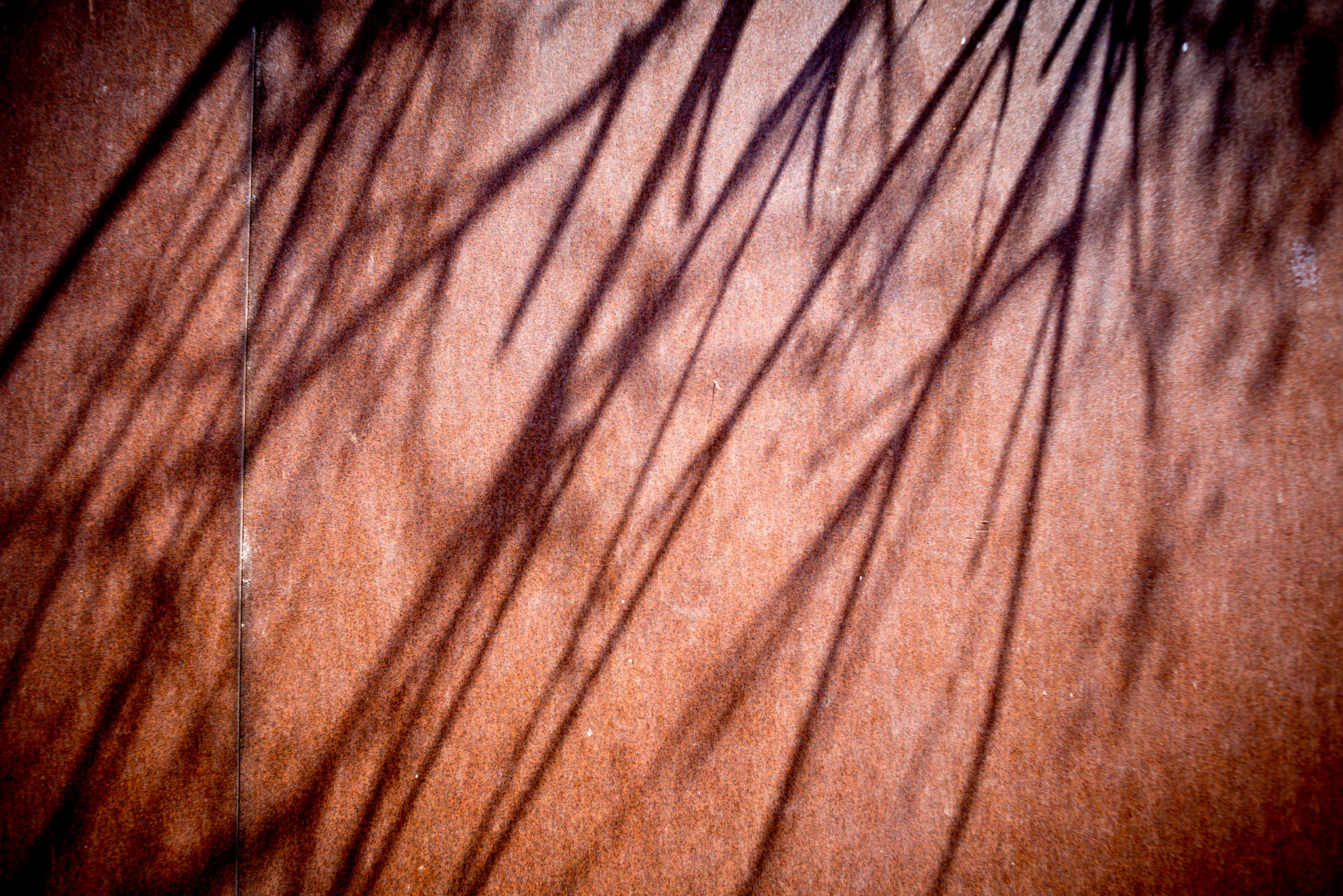 Nikon D610 + AF Nikkor 35mm f/2 sample photo. Shadows and light 1 photography