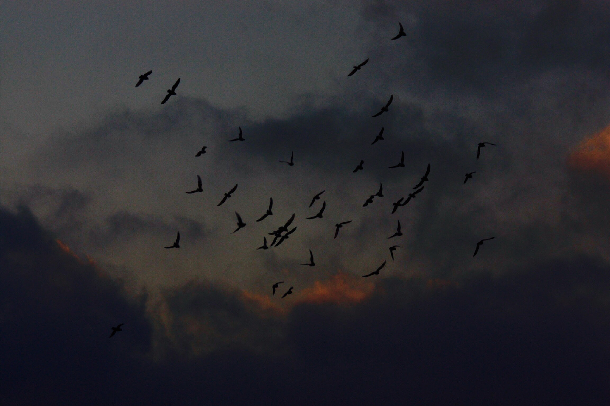 Canon EF-S 55-250mm F4-5.6 IS STM sample photo