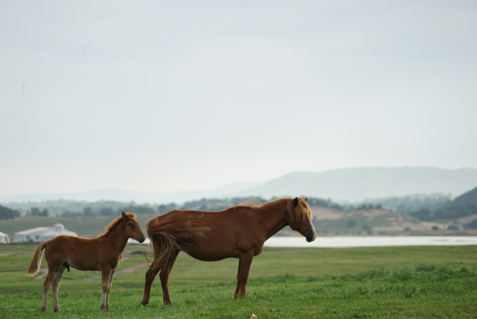 Sony a7 II + Sony FE 24-240mm F3.5-6.3 OSS sample photo