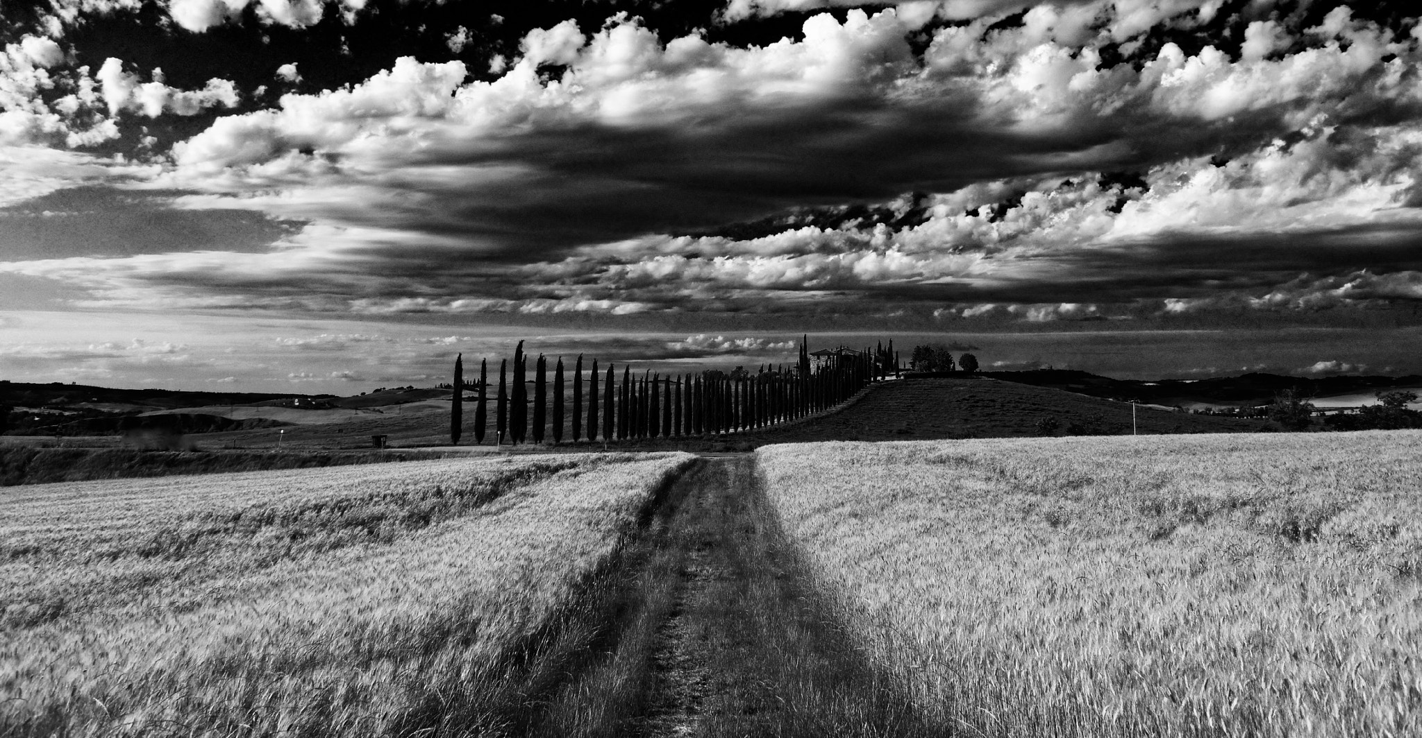 Panasonic Lumix DMC-G6 + Panasonic Lumix G 14mm F2.5 ASPH sample photo. Dark clouds gathering photography