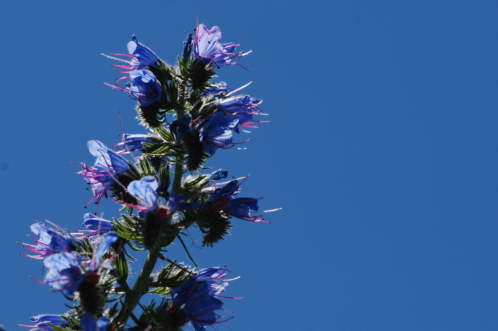 Nikon D80 sample photo. Nsn photography