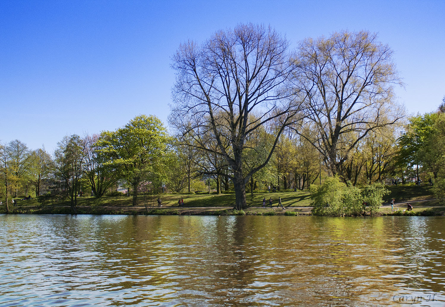 Canon EOS 1000D (EOS Digital Rebel XS / EOS Kiss F) sample photo. Lake alster photography