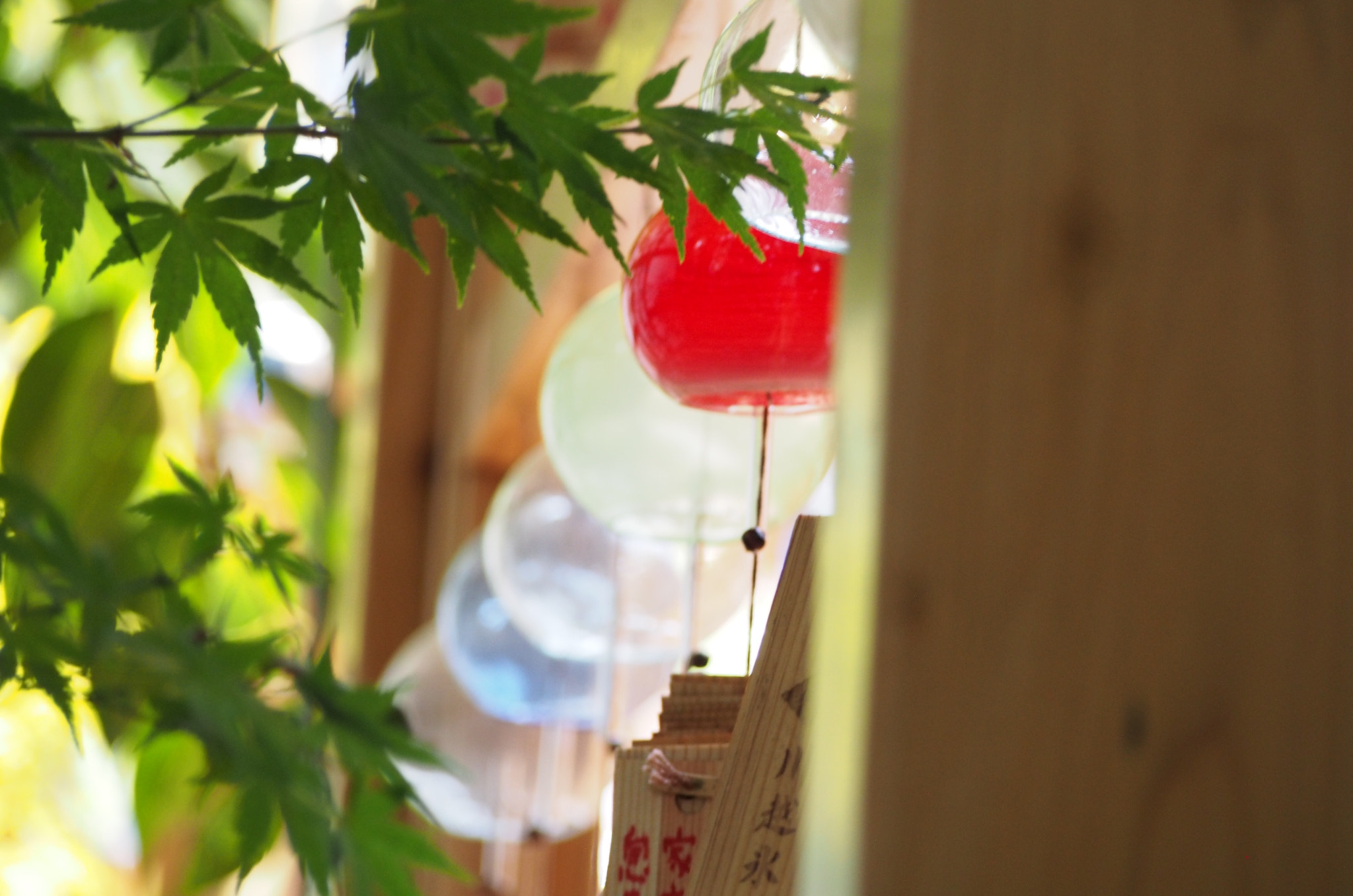 Olympus PEN E-PL6 sample photo. Untitled photography